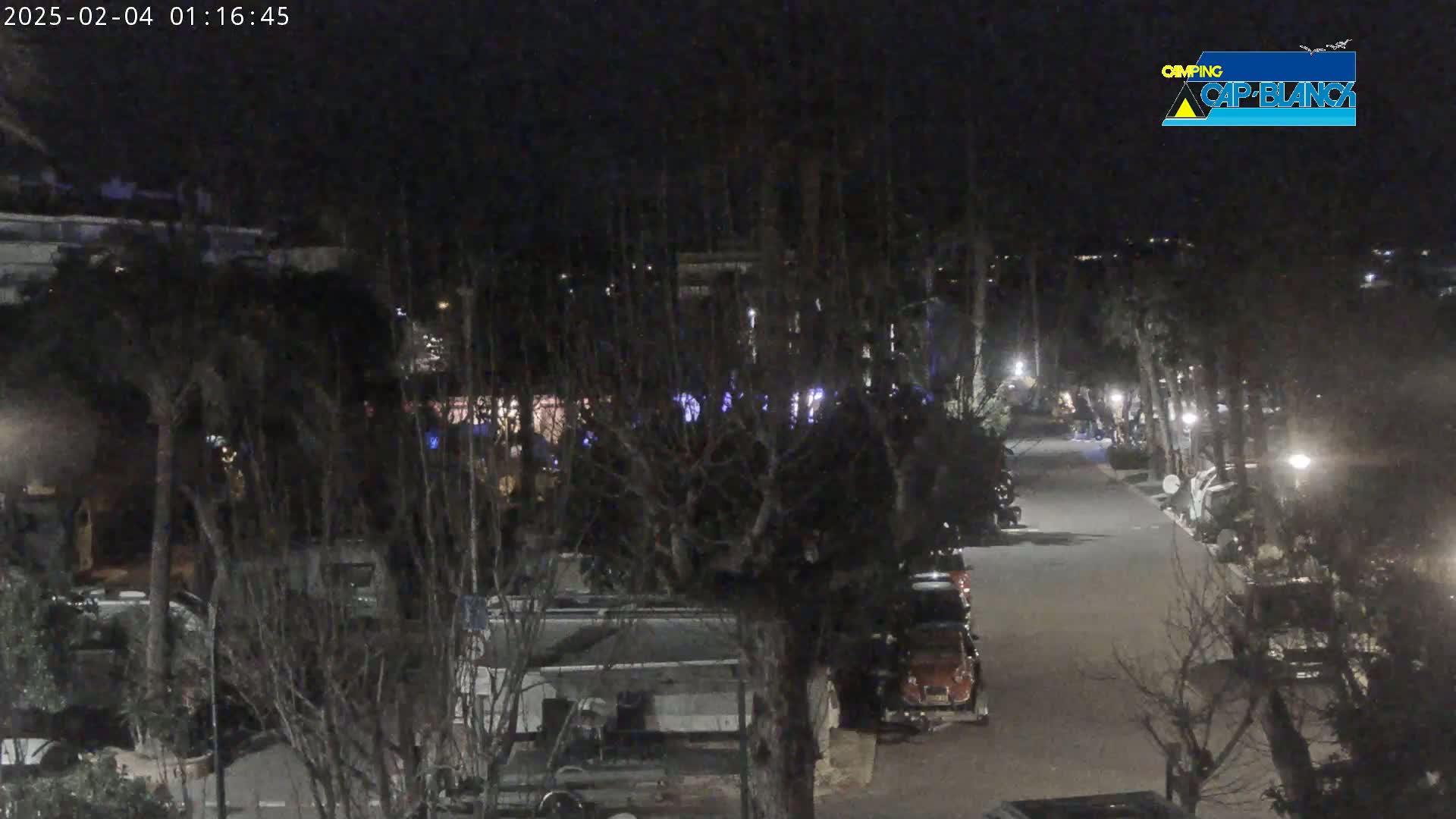 A nighttime, dimly lit view of a roadway lined with parked vehicles and trees, under a dark sky.