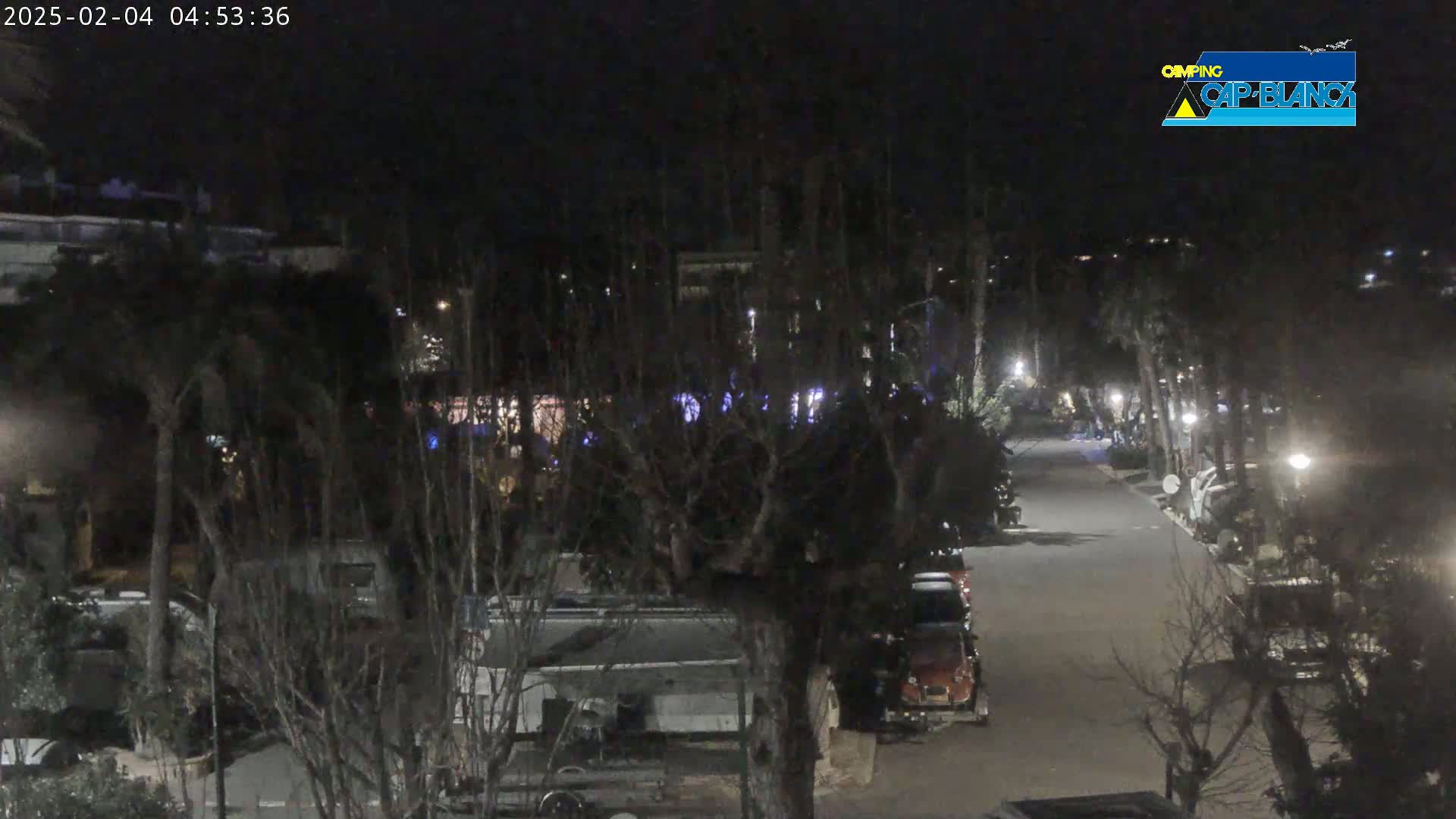 A nighttime view of a roadway in a campground with vehicles parked alongside, surrounded by trees and some buildings in the distance under a dark sky.