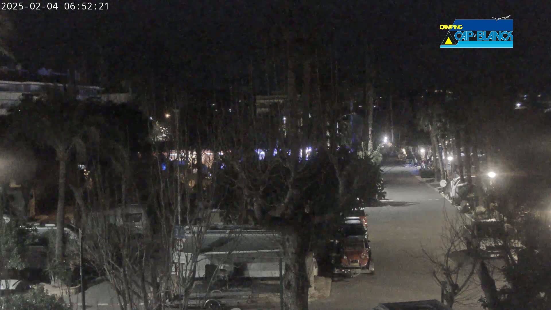 A nighttime view of a road lined with recreational vehicles parked between trees under dark skies.