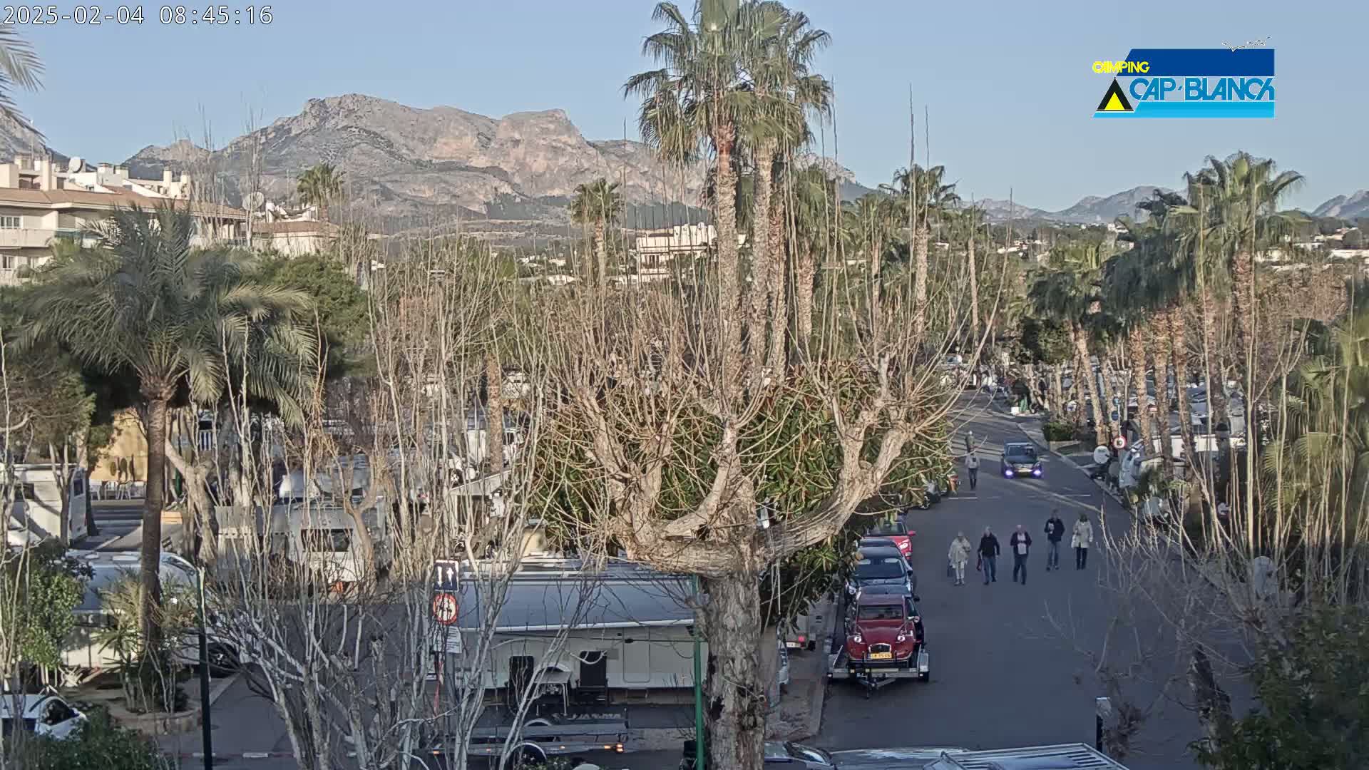 A street scene with palm trees and bare deciduous trees, several RVs, and a few cars and pedestrians, under a clear sky with mountains in the background.