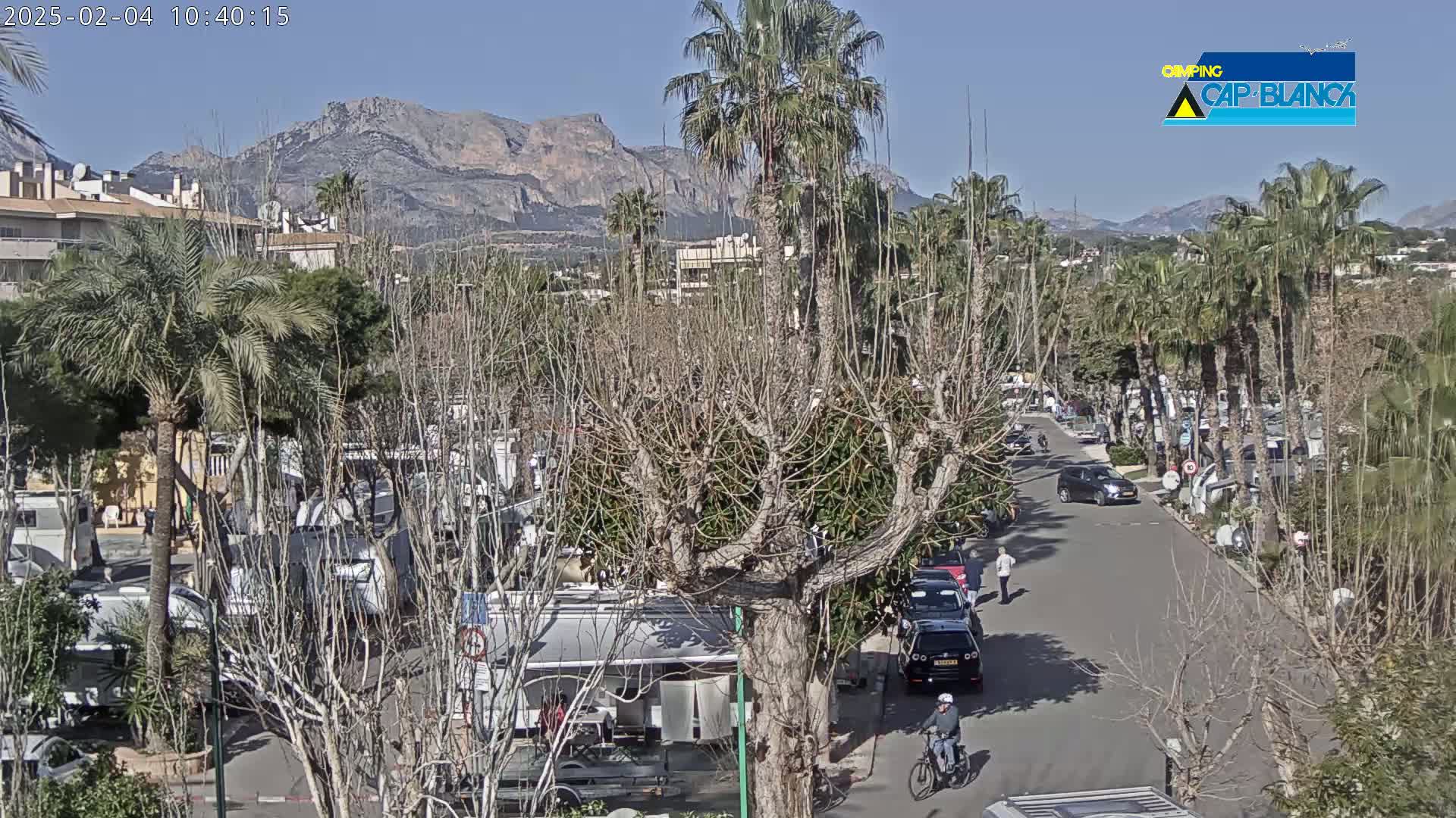 A sunny day shows a street lined with palm trees and RVs, with mountains in the background.