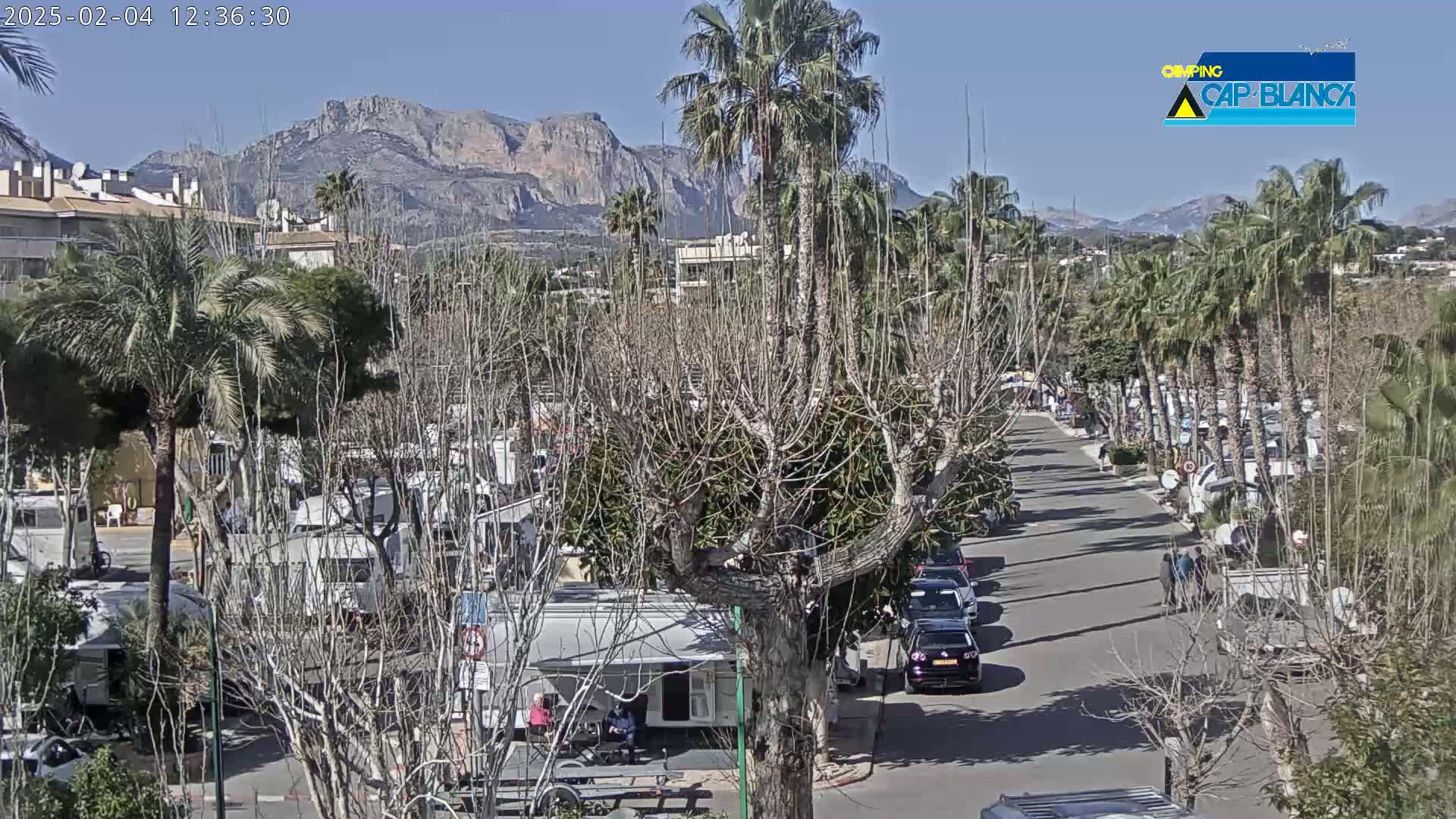 A sunny day reveals a street lined with palm trees and parked recreational vehicles, with mountains visible in the background.