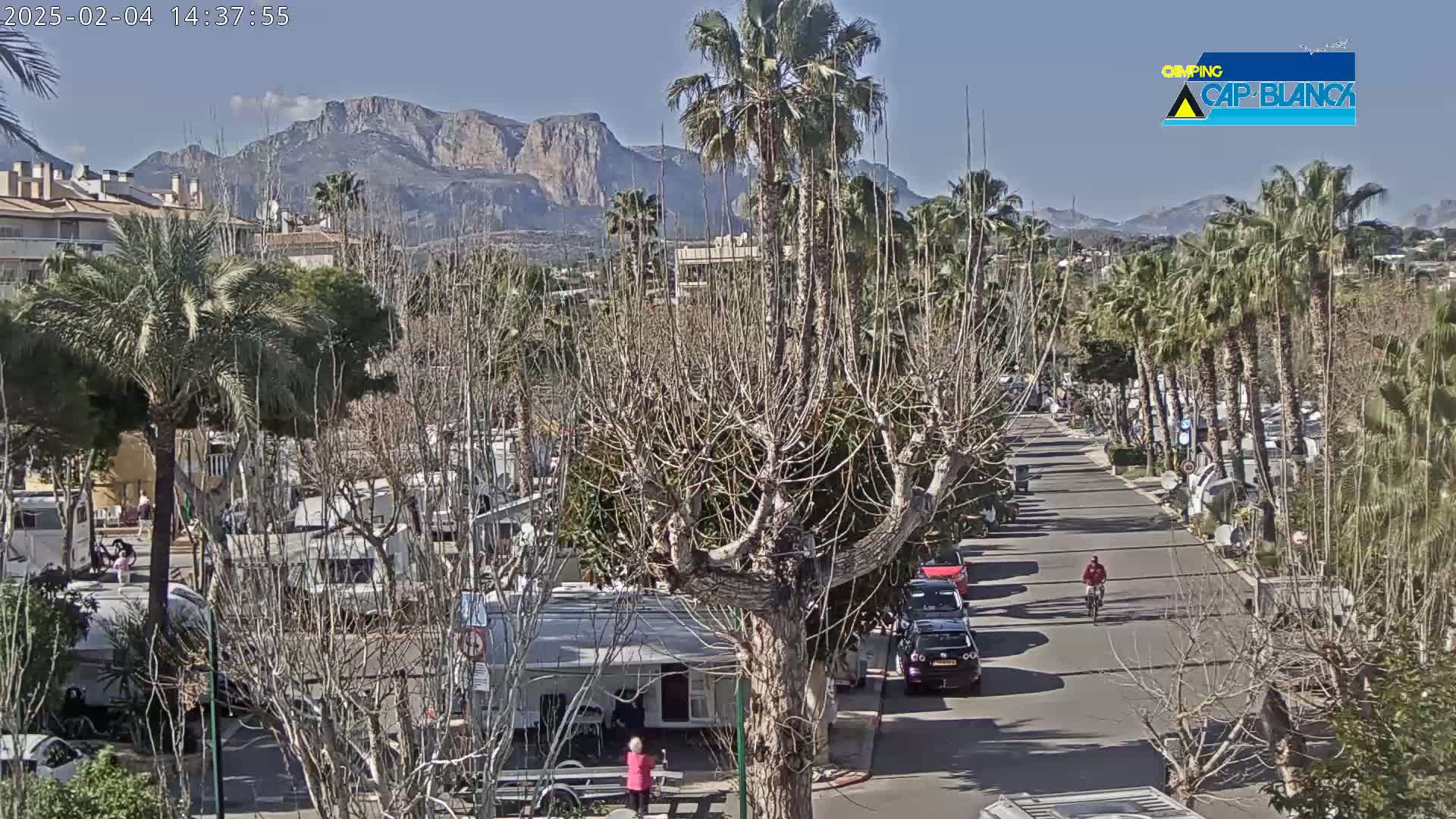 A sunny day shows a street lined with palm trees and recreational vehicles, with mountains in the background.