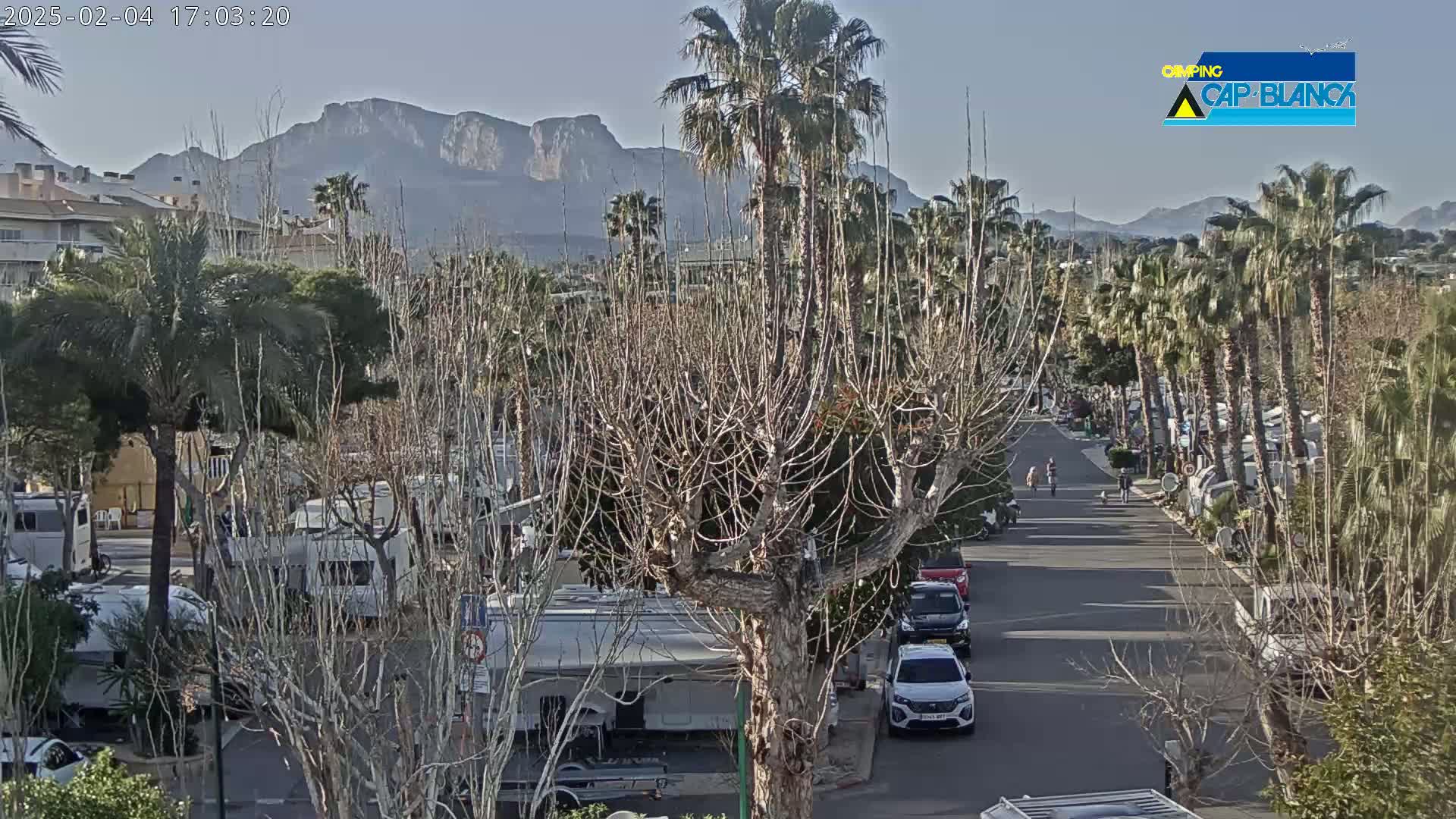 A clear, sunny day reveals a street lined with palm trees and parked recreational vehicles, leading toward a mountainous backdrop.