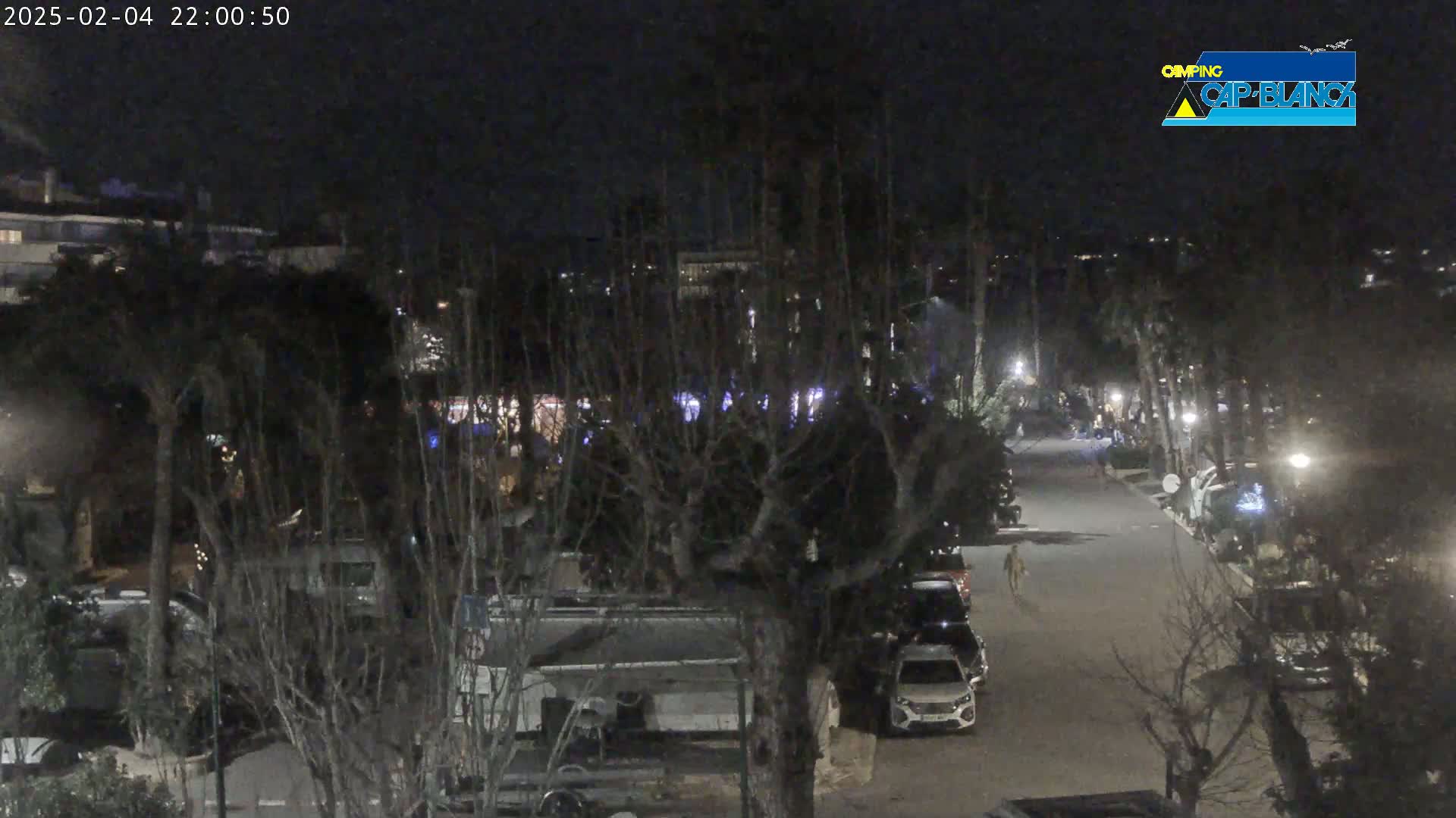 A nighttime, dimly lit view of a roadway lined with parked cars and RVs situated among bare trees in a campground.