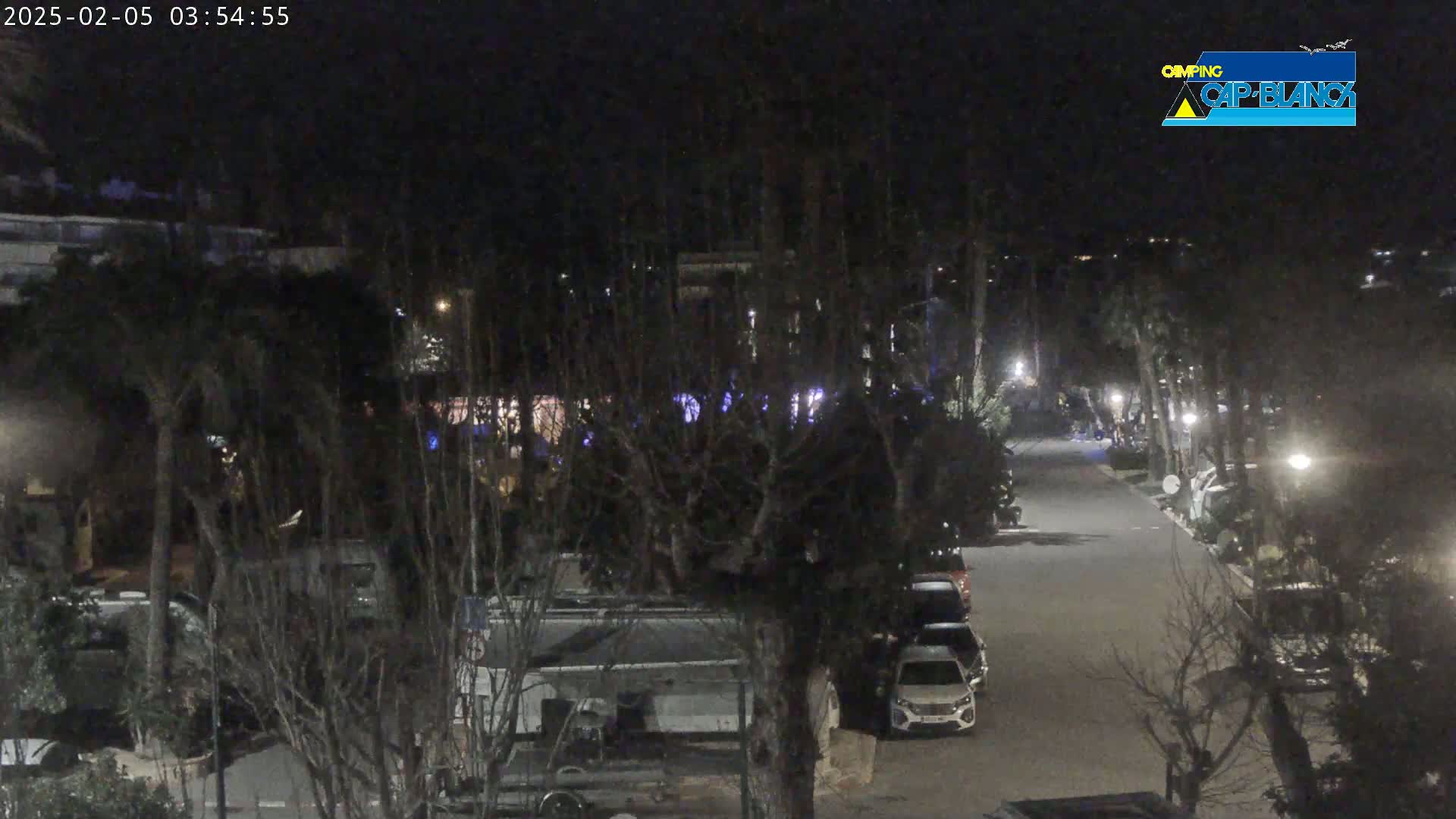 A nighttime view of a paved road lined with parked cars and recreational vehicles, surrounded by trees under dark, clear skies.