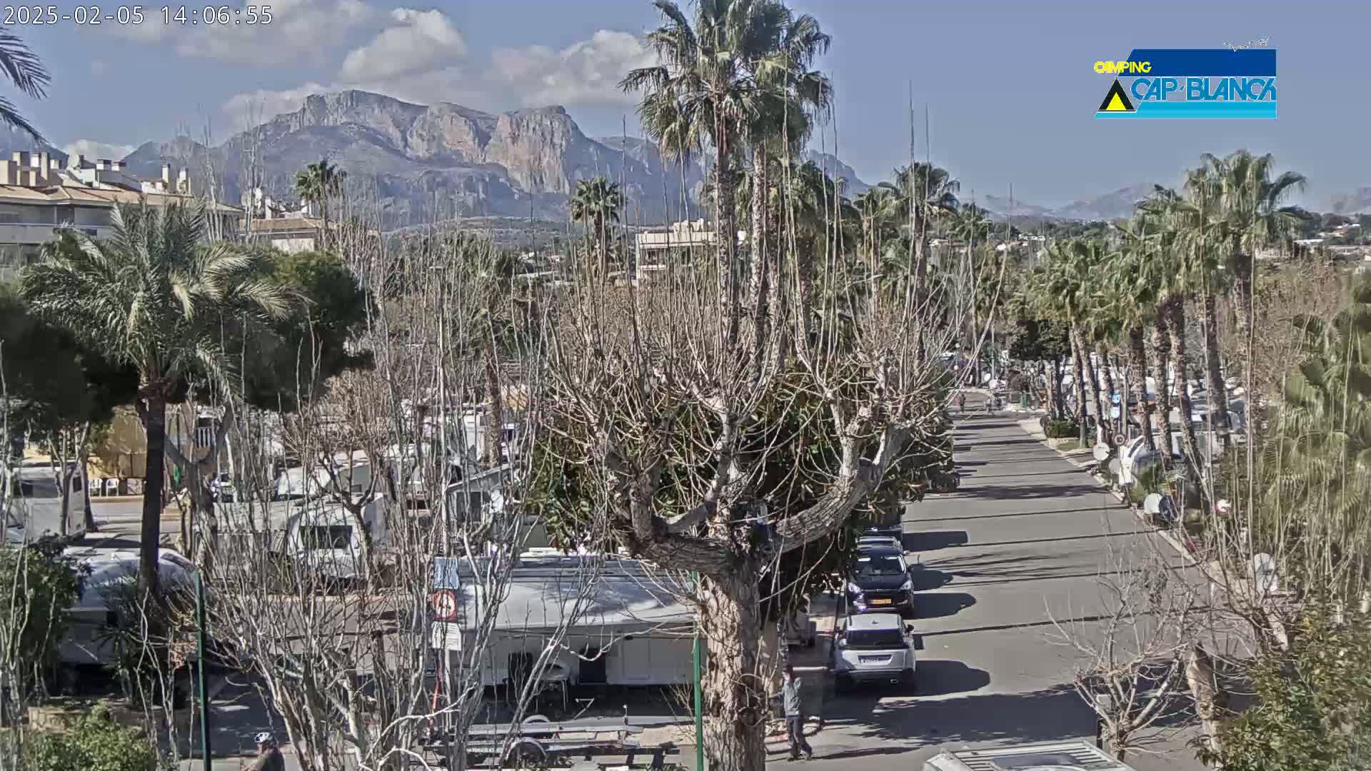 A street lined with palm trees and bare deciduous trees leads toward mountains under a partly cloudy sky, with recreational vehicles parked on either side of the road.