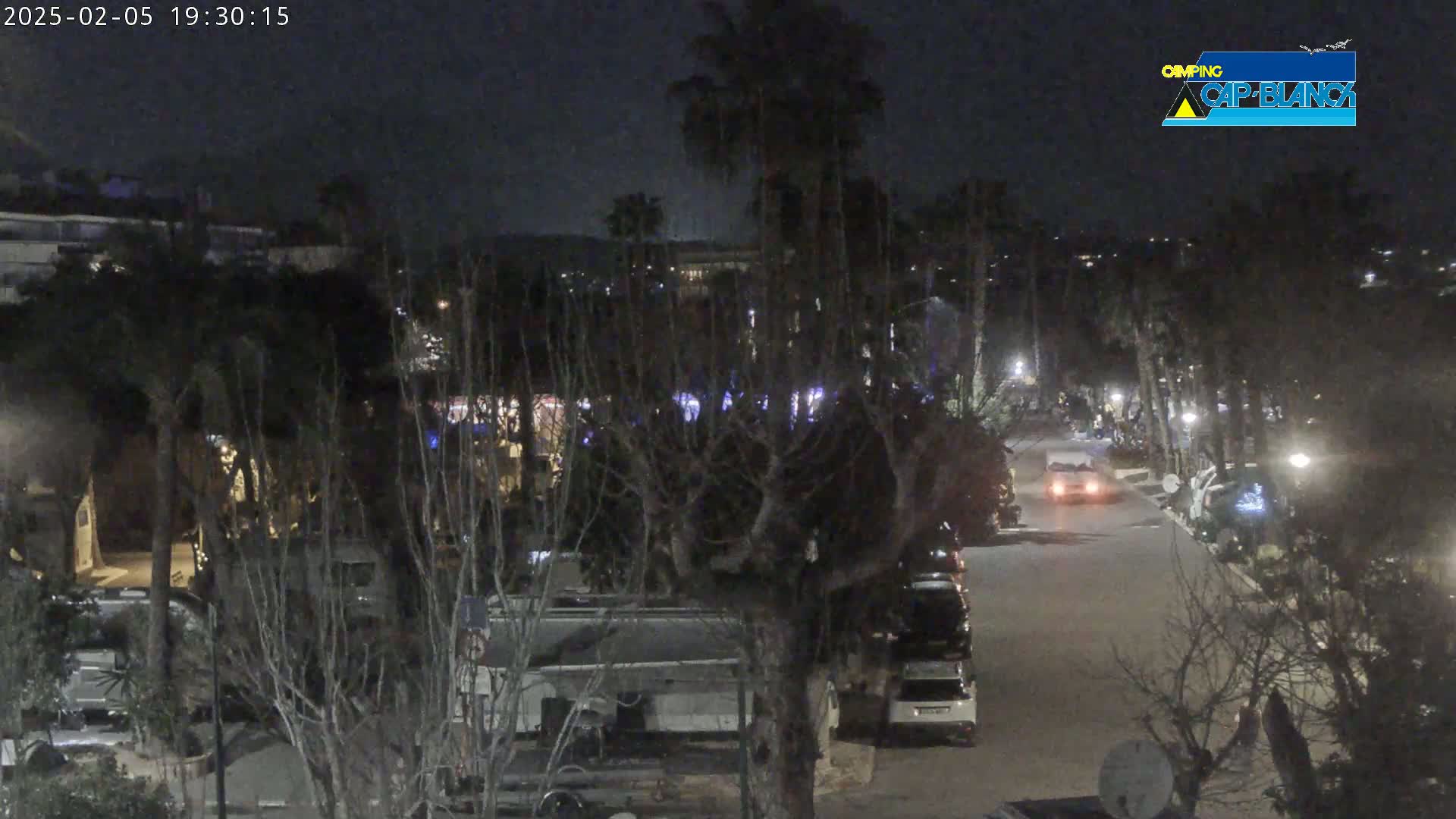 A nighttime view of a street lined with parked vehicles and trees, with a few cars driving on the road under a dark sky.