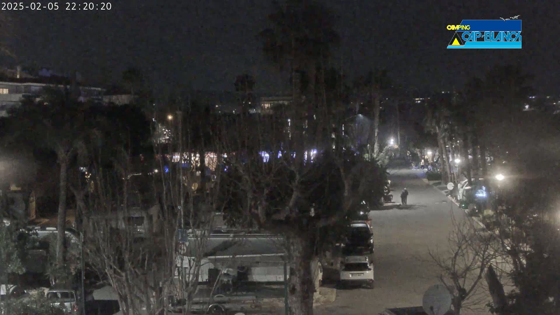 A nighttime, dimly lit street scene shows parked vehicles and buildings amongst bare trees.