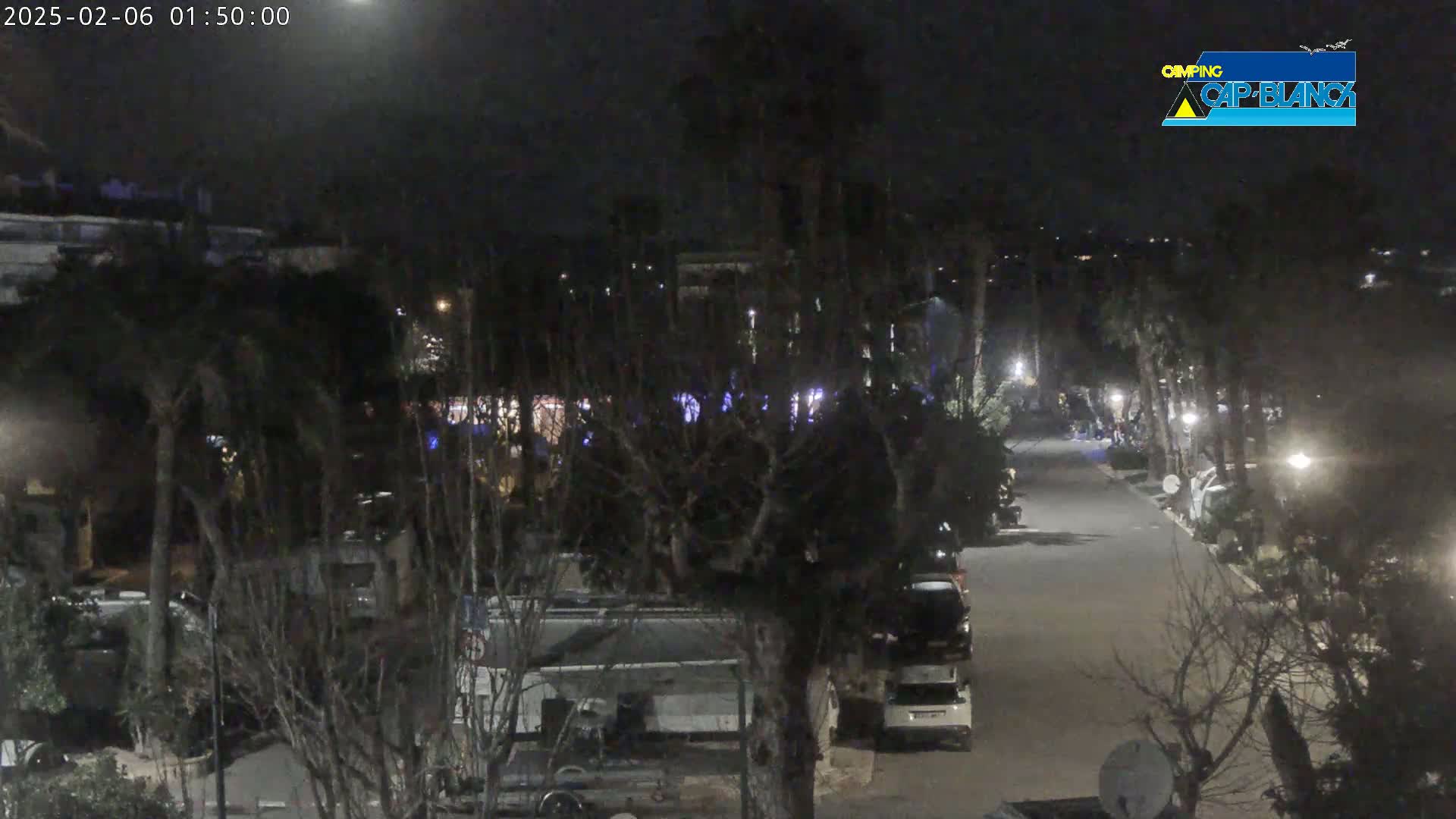 A nighttime, outdoor view of a road lined with parked vehicles and trees in a campground.