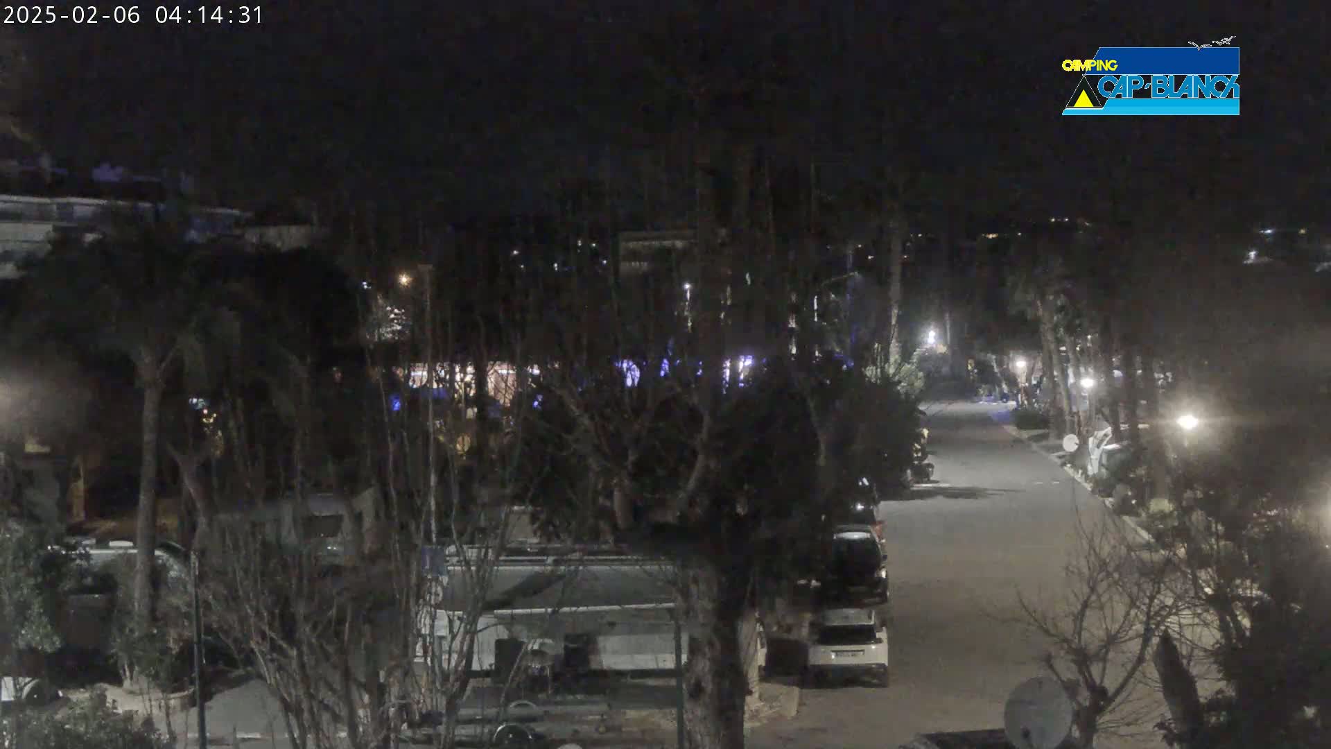 A nighttime view of a street lined with parked recreational vehicles and trees, under a dark sky.