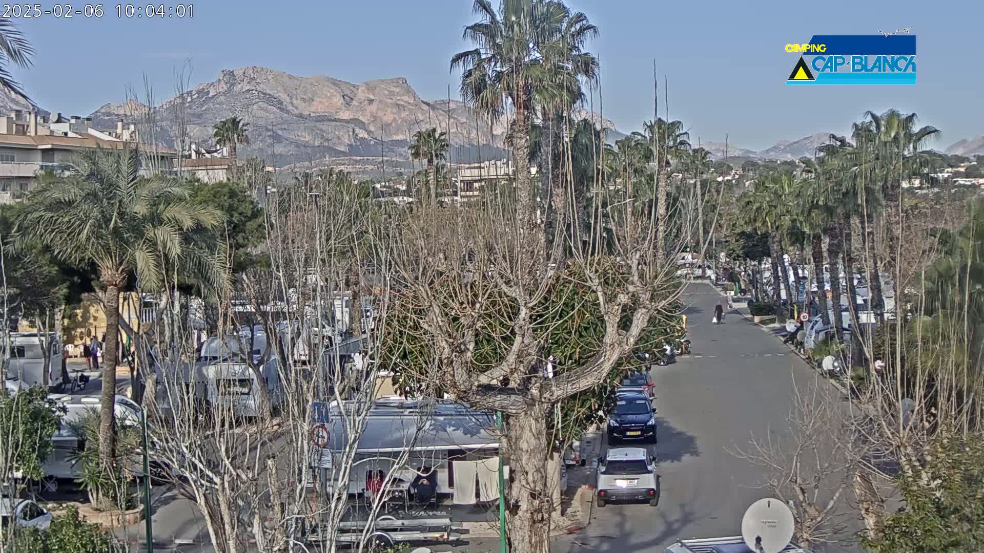 A sunny day reveals a street lined with parked RVs and cars, situated amidst palm trees and leafless trees, with mountains in the background.