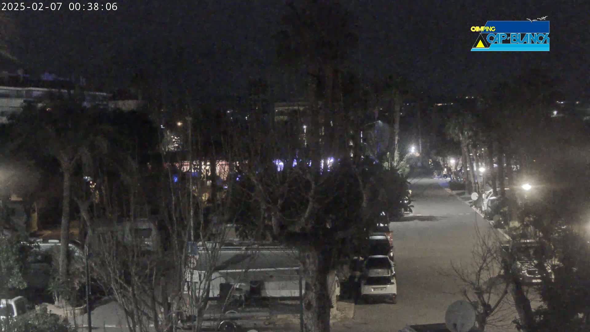 A nighttime view of a roadway lined with parked vehicles and trees, illuminated by streetlights.