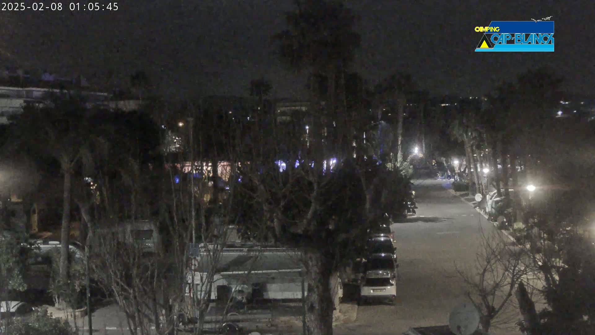 A nighttime, dimly lit outdoor scene shows a paved road lined with parked vehicles and trees, some of which are palm trees.