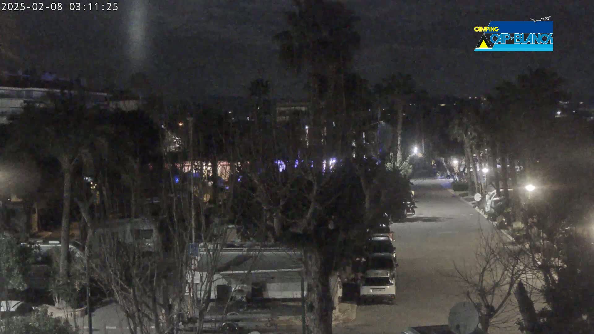 A nighttime view of a paved road lined with parked vehicles and trees, under a dark, clear sky.