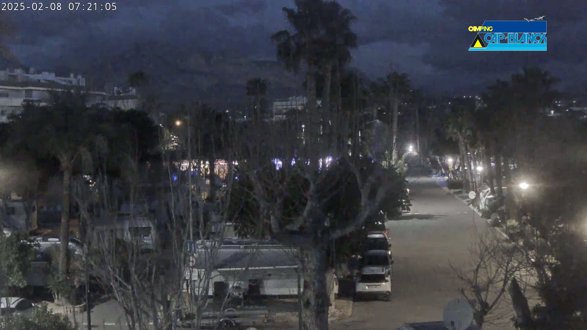A nighttime view of a street lined with parked vehicles and trees under a dark, cloudy sky.