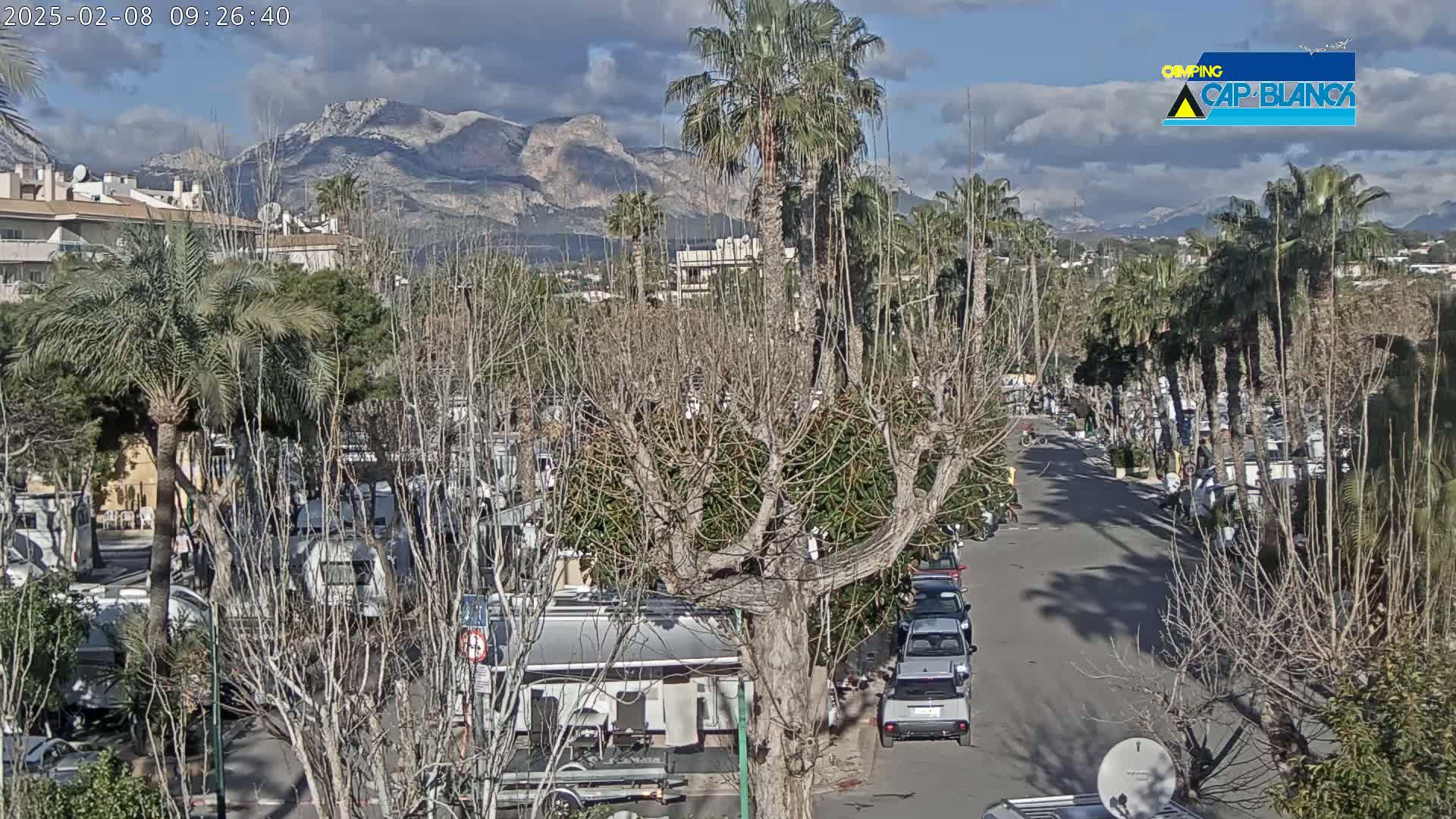 A street lined with bare trees and parked RVs leads toward mountains under a partly cloudy sky.