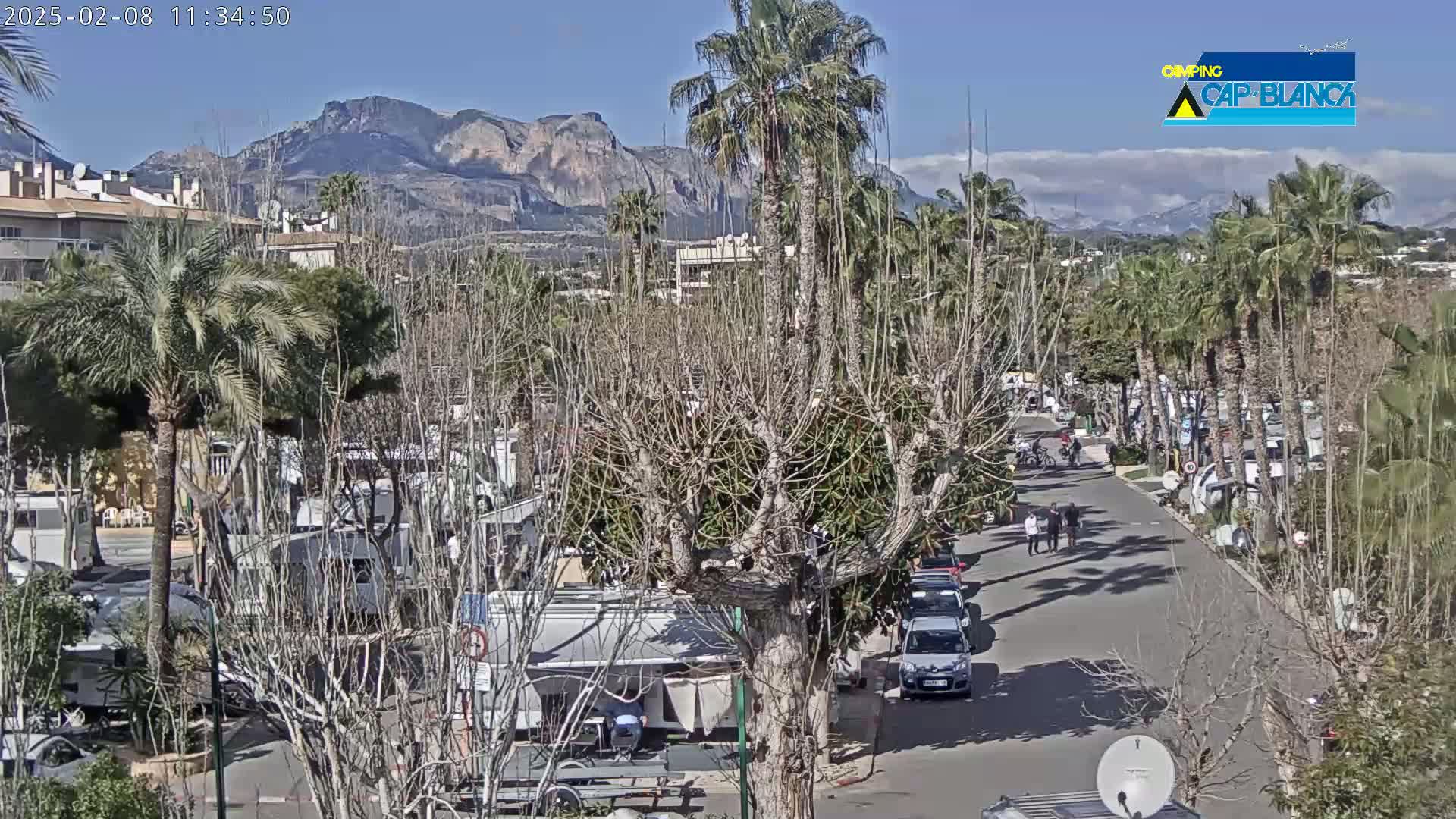 A sunny day reveals a roadway lined with parked recreational vehicles, palm trees, and leafless deciduous trees, with mountains visible in the distance.