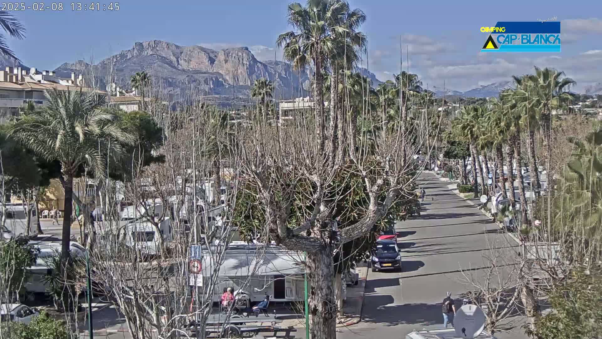 A sunny day reveals a street lined with palm trees and recreational vehicles, with a mountain range in the background.