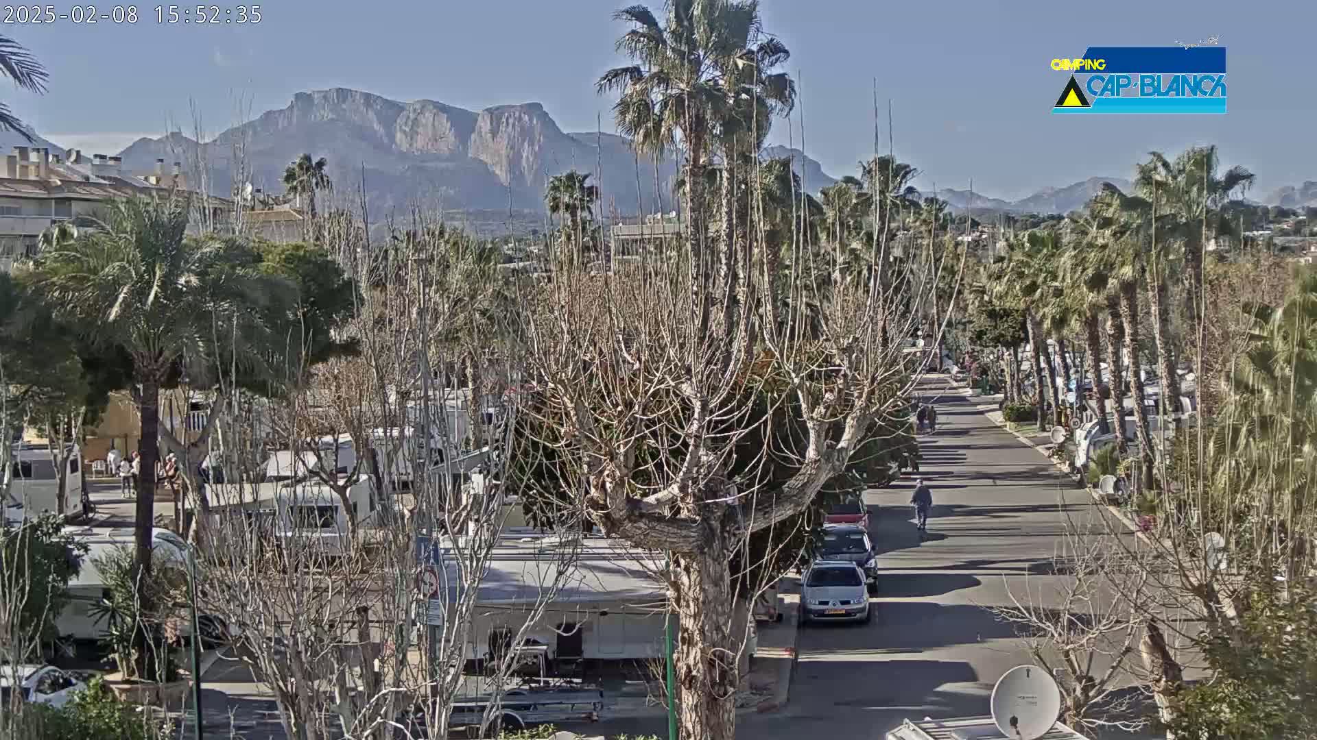 A sunny day reveals a road lined with palm trees and recreational vehicles, leading towards mountains in the distance.