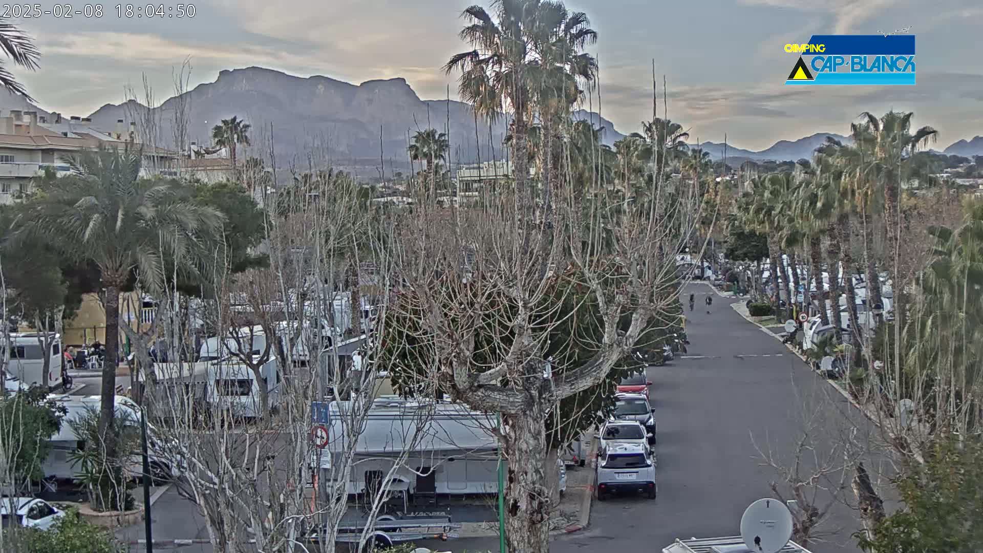A paved road winds through a campground filled with RVs and cars, under an overcast sky, with mountains visible in the distance and numerous palm trees lining the road.