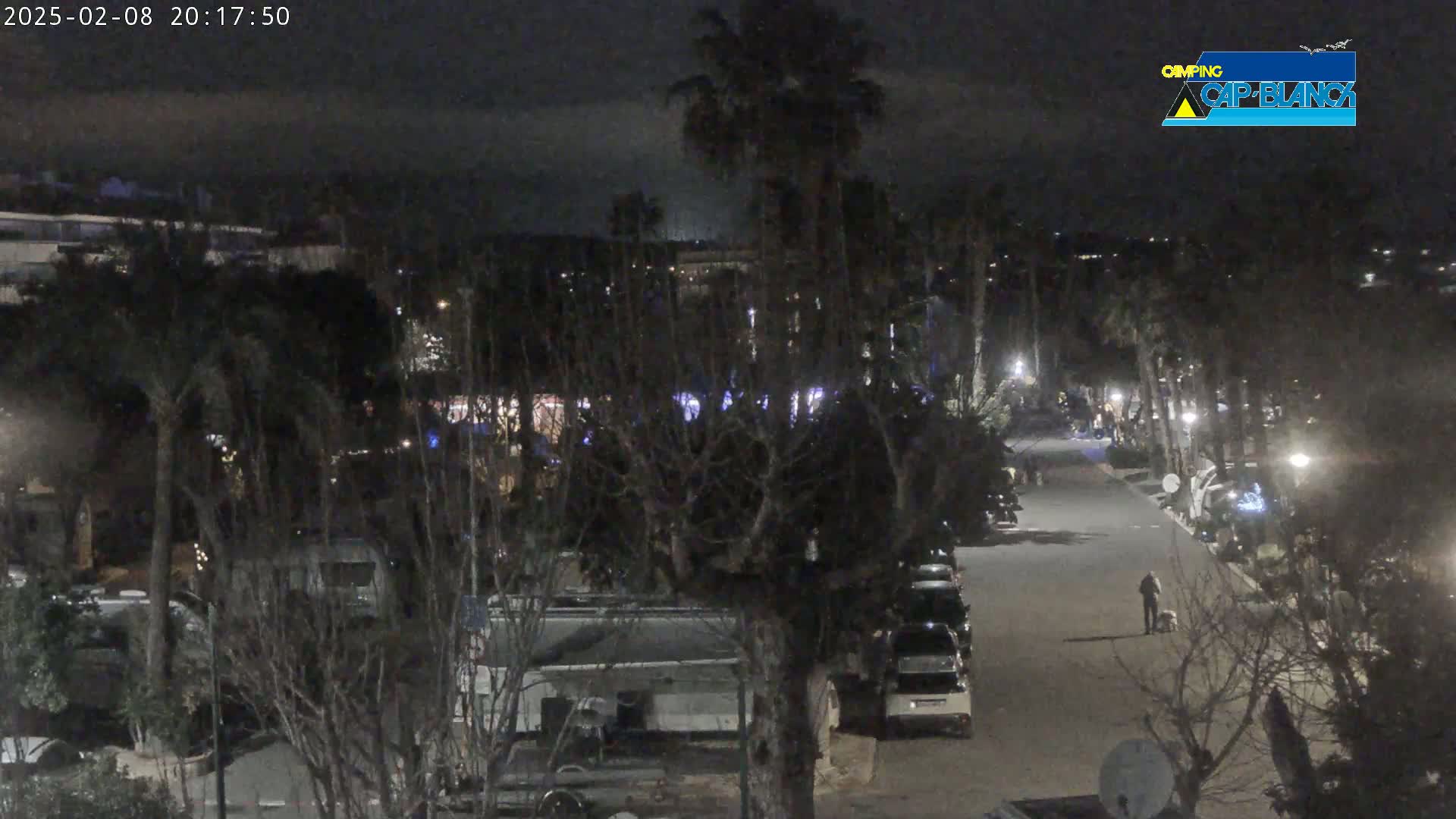 A nighttime view of a street lined with parked RVs and palm trees, under a dark, cloudy sky, with a person walking a dog on the road.