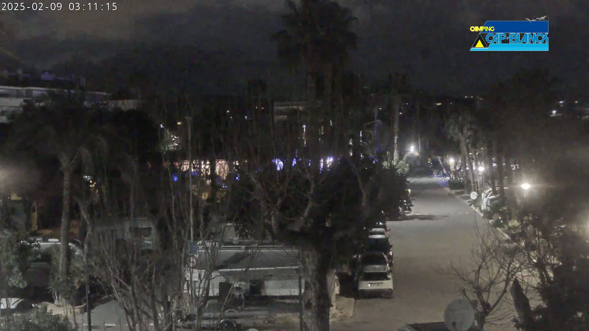 A nighttime view of a street lined with parked vehicles and palm trees under a cloudy sky.