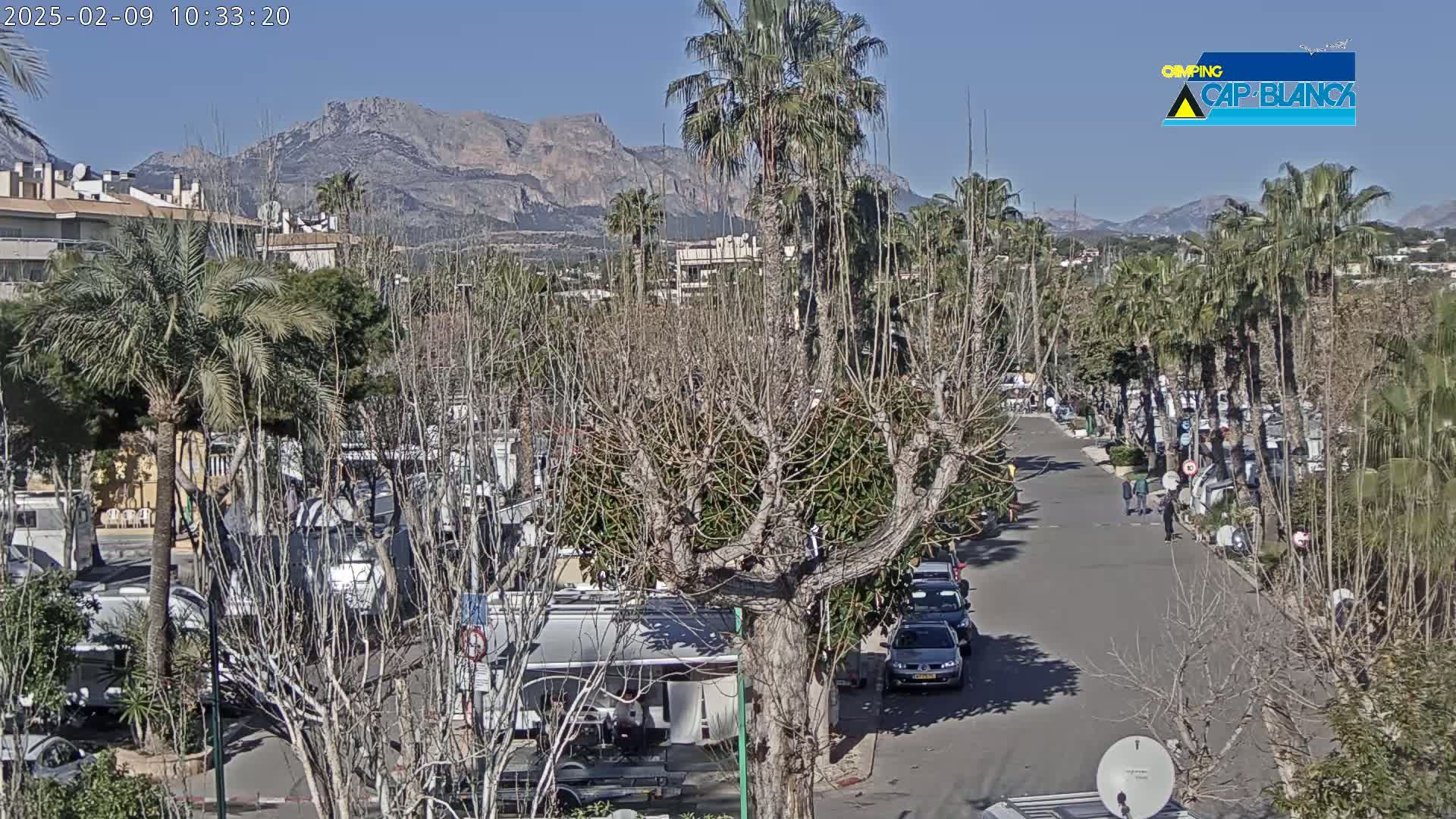 A sunny day reveals a street lined with parked vehicles and palm trees, leading toward mountains in the distance.