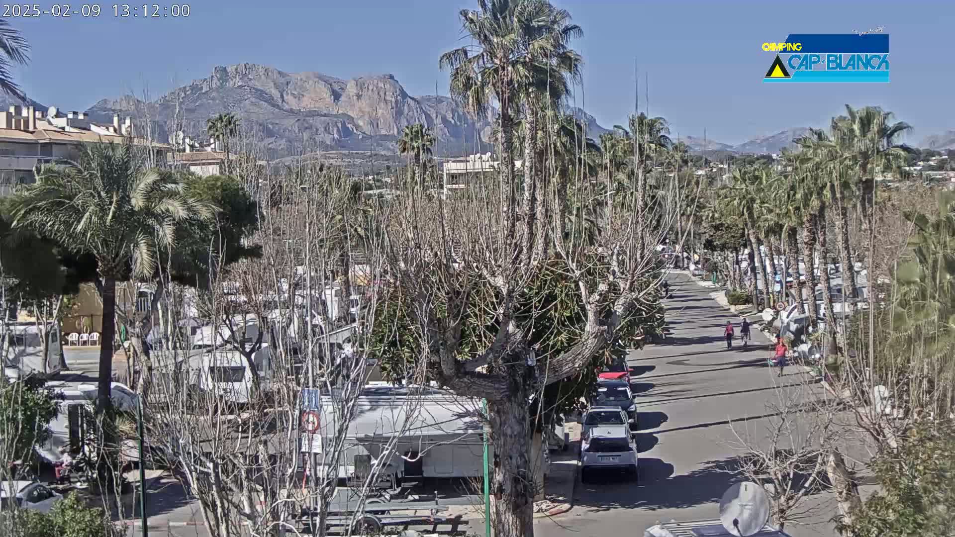 A sunny day reveals a street lined with palm trees and RVs, with mountains in the background.