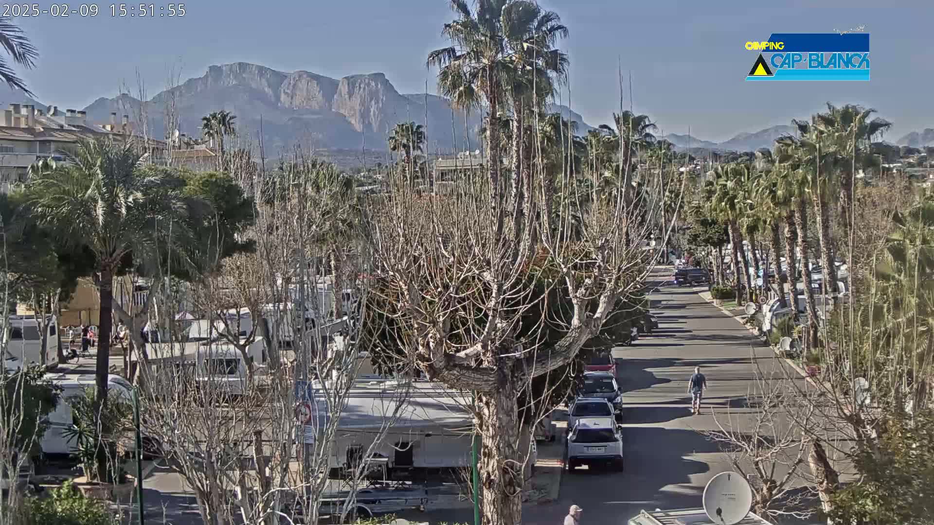 A paved road lined with RVs and palm trees leads toward a mountain range under a clear blue sky.