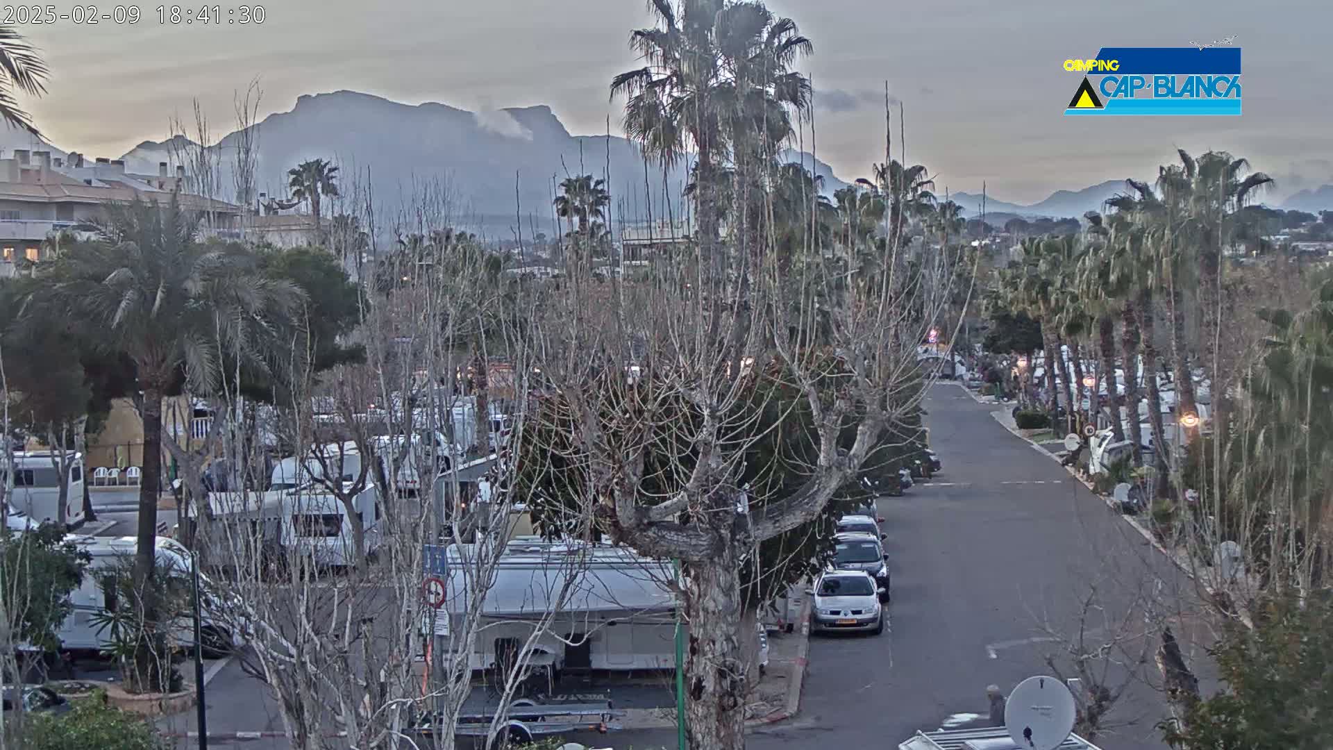 A paved road winds through a campground filled with RVs and surrounded by palm trees and leafless trees, with mountains in the background under a dusky sky.
