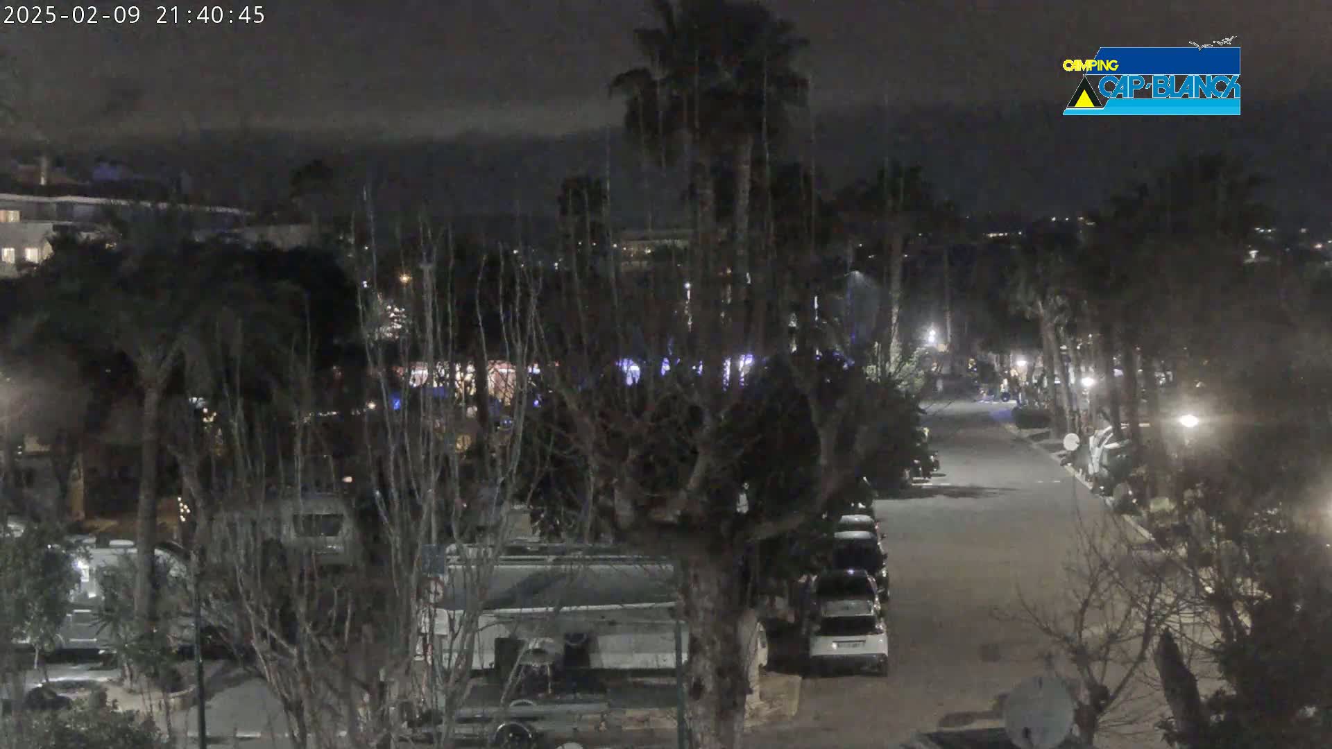 A nighttime view of a street lined with parked vehicles and trees, under a mostly clear sky.