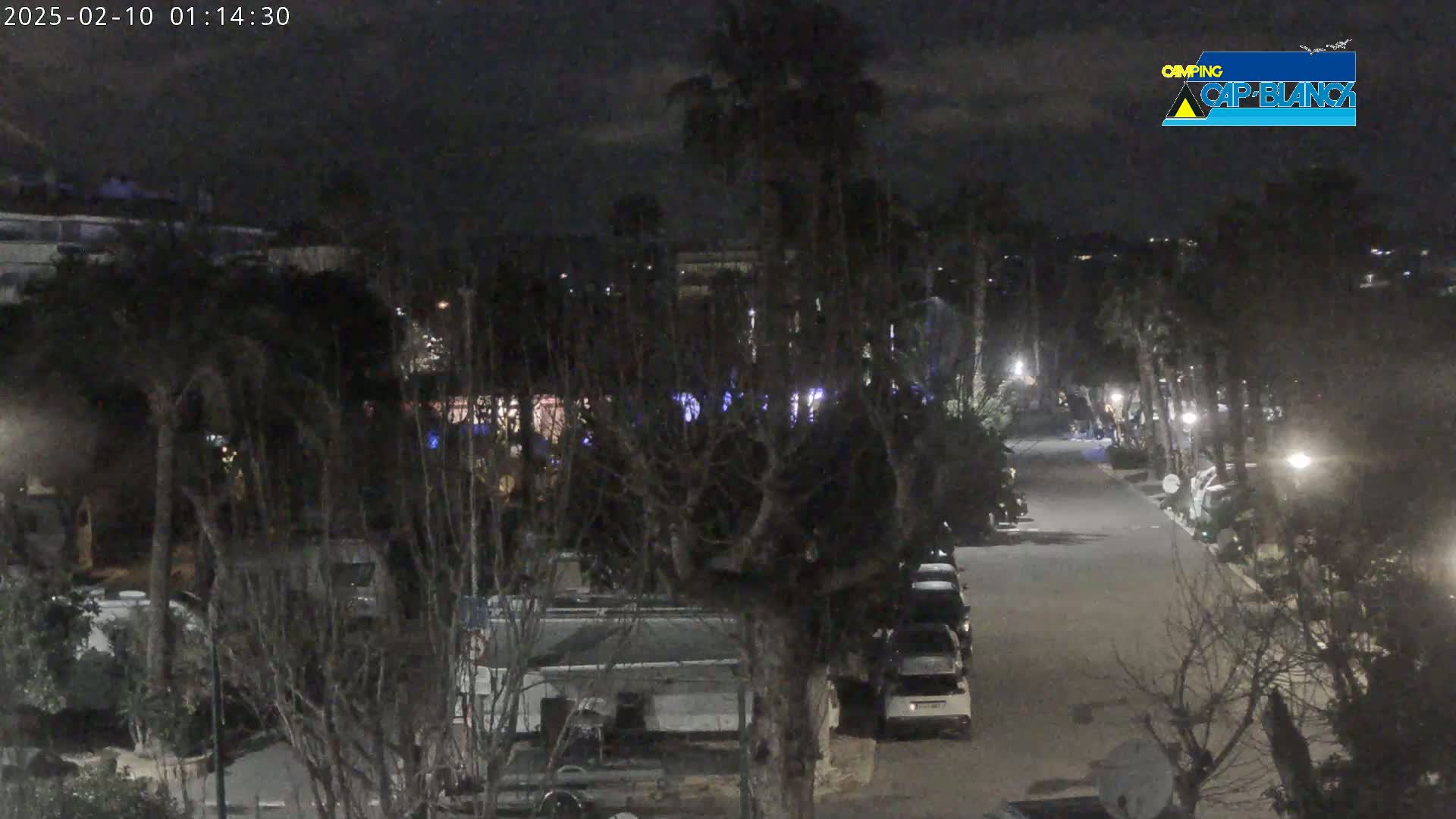 A nighttime view of a paved road lined with parked vehicles and trees, under a mostly clear sky.