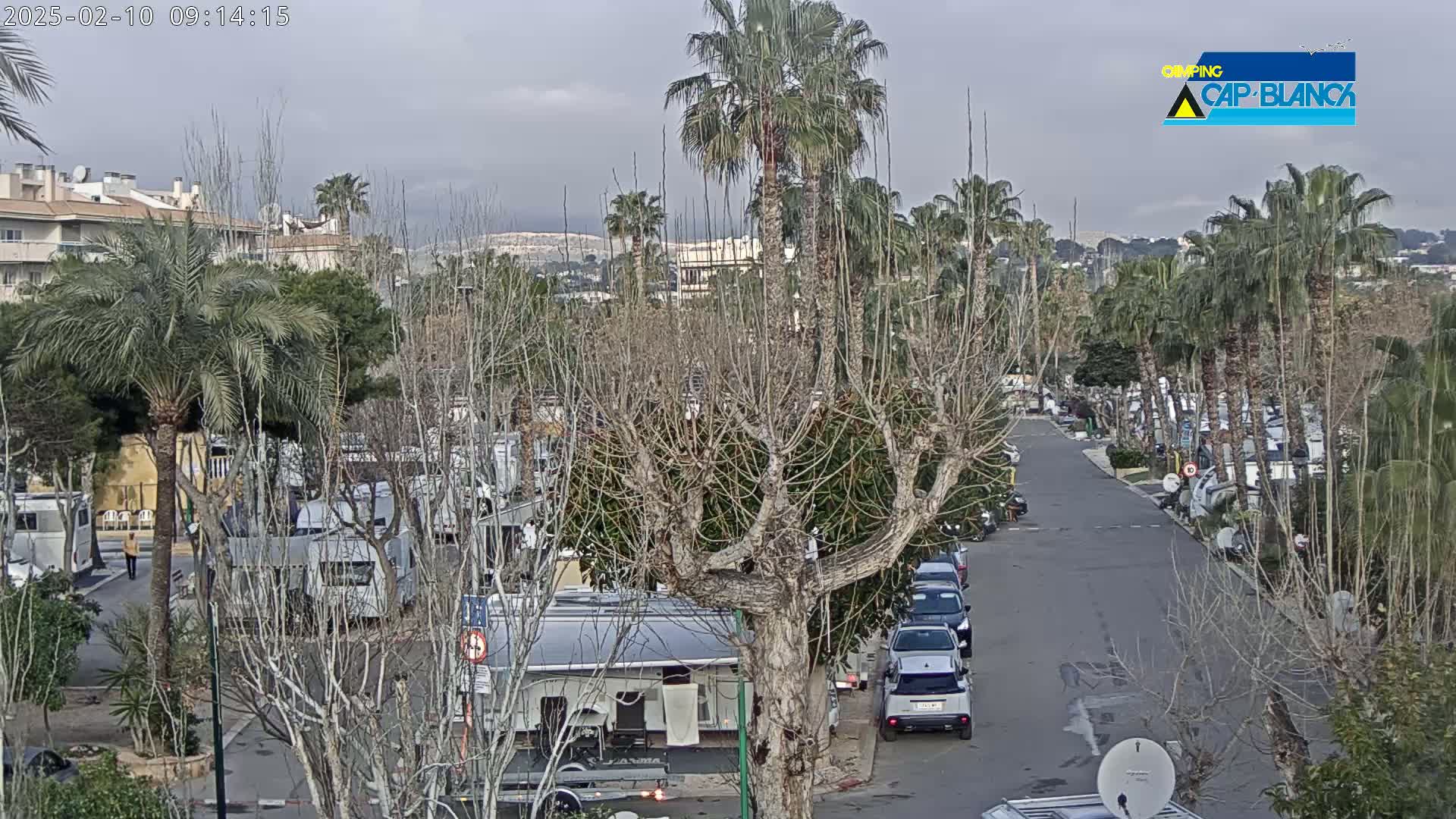 A paved road winds through a campground filled with RVs, under a cloudy sky, surrounded by palm trees and bare deciduous trees.
