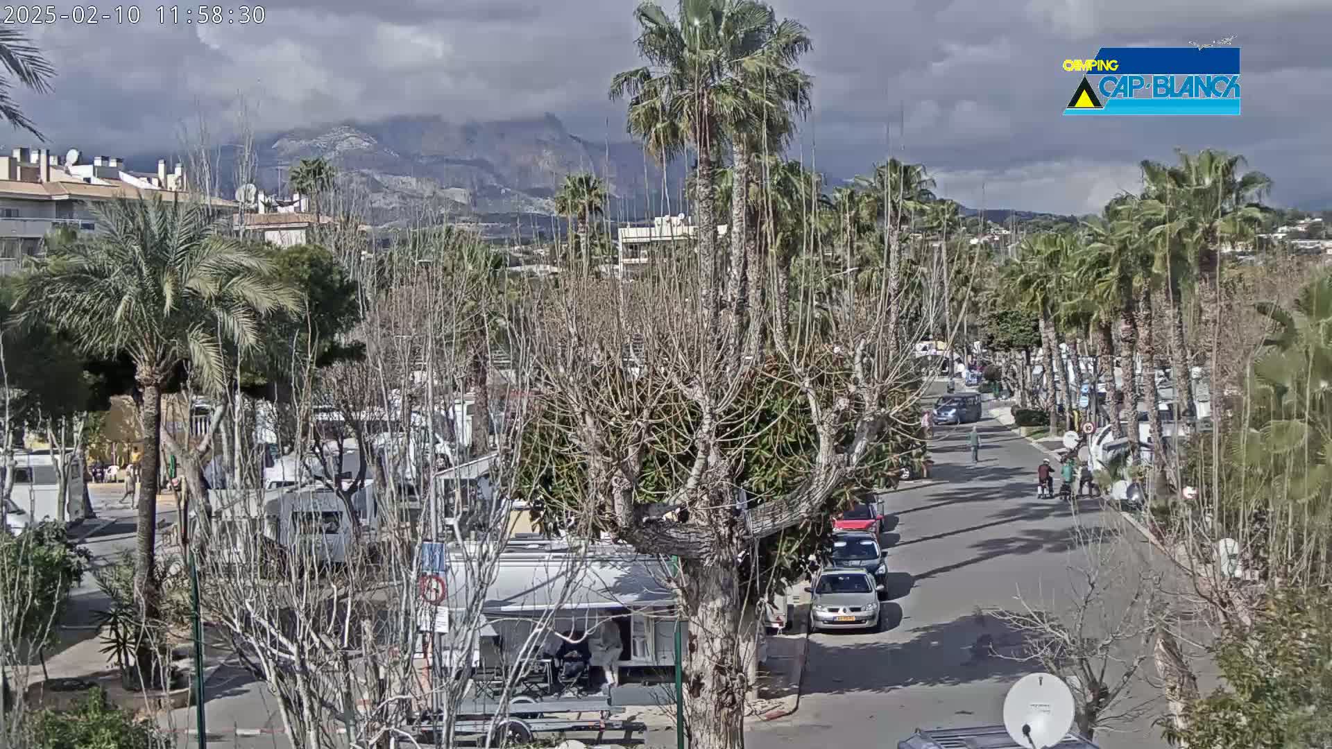 A street scene with palm trees and bare deciduous trees under a cloudy sky, showing RVs parked along the roadside with mountains in the background.