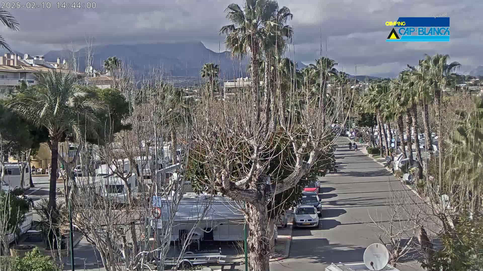 A paved road lined with palm trees and bare deciduous trees leads to a mountain range under a cloudy sky, with recreational vehicles parked on either side.
