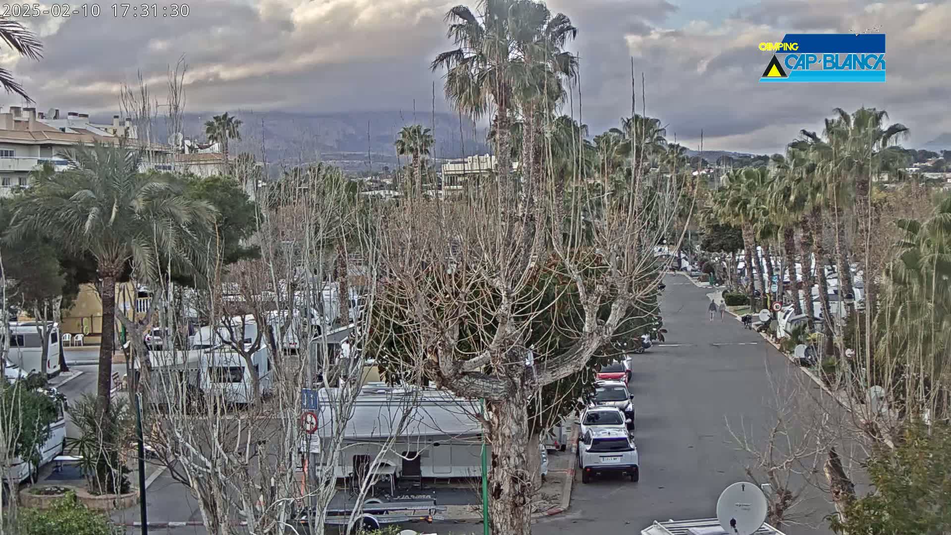 An overcast day reveals a parking lot filled with RVs and cars, lined with palm trees and bare deciduous trees, next to buildings and mountains in the distance.