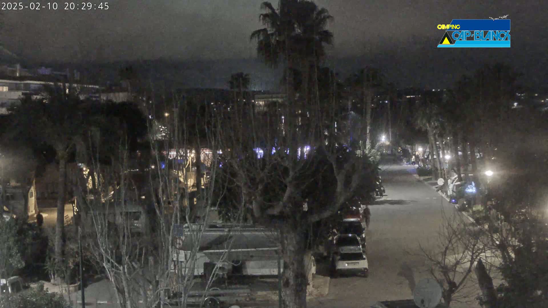 A nighttime view of a street lined with parked cars and RVs, bordered by trees and buildings under a dark, overcast sky.