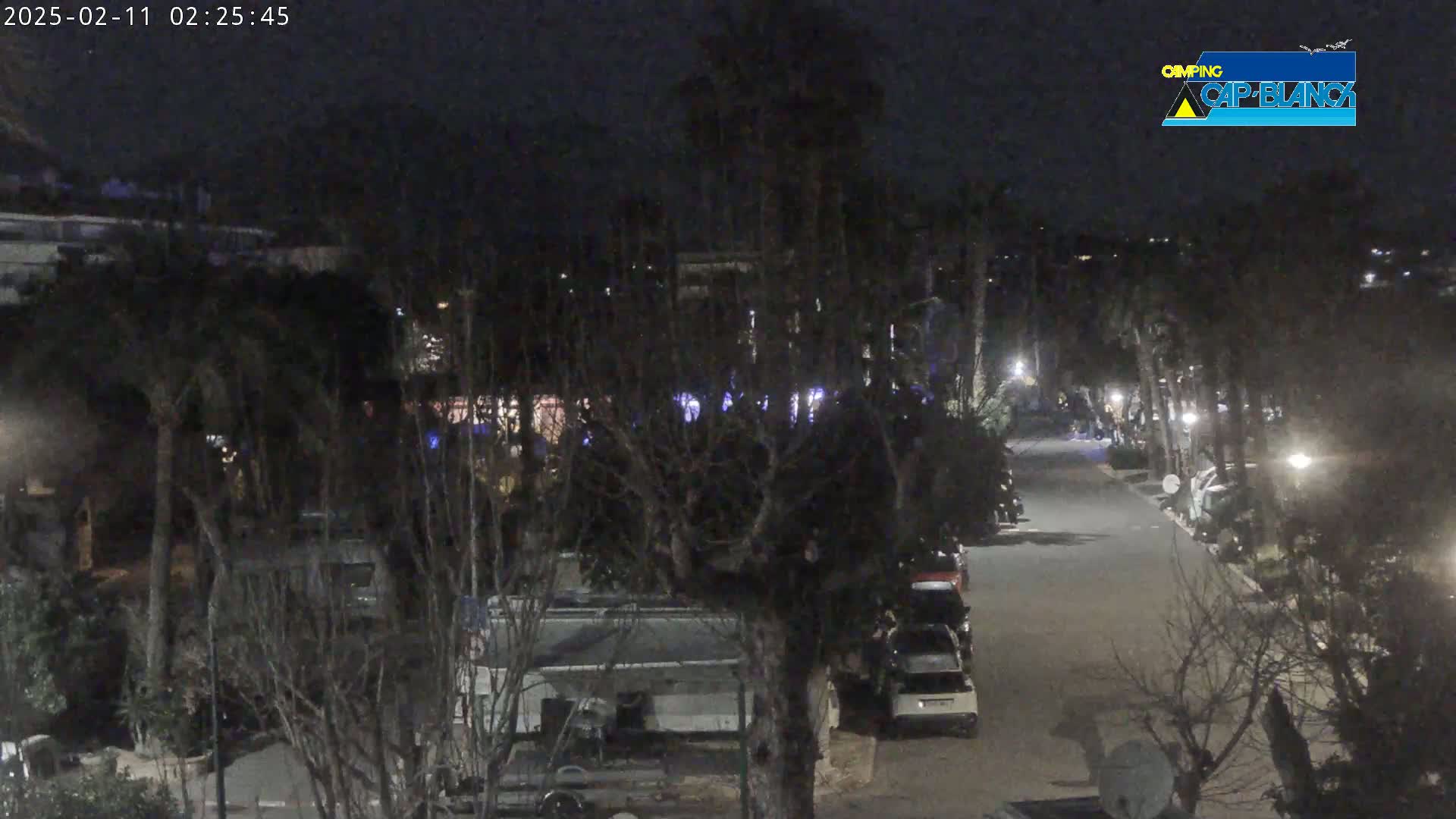 A nighttime view of a street lined with parked vehicles and trees, under a dark sky.
