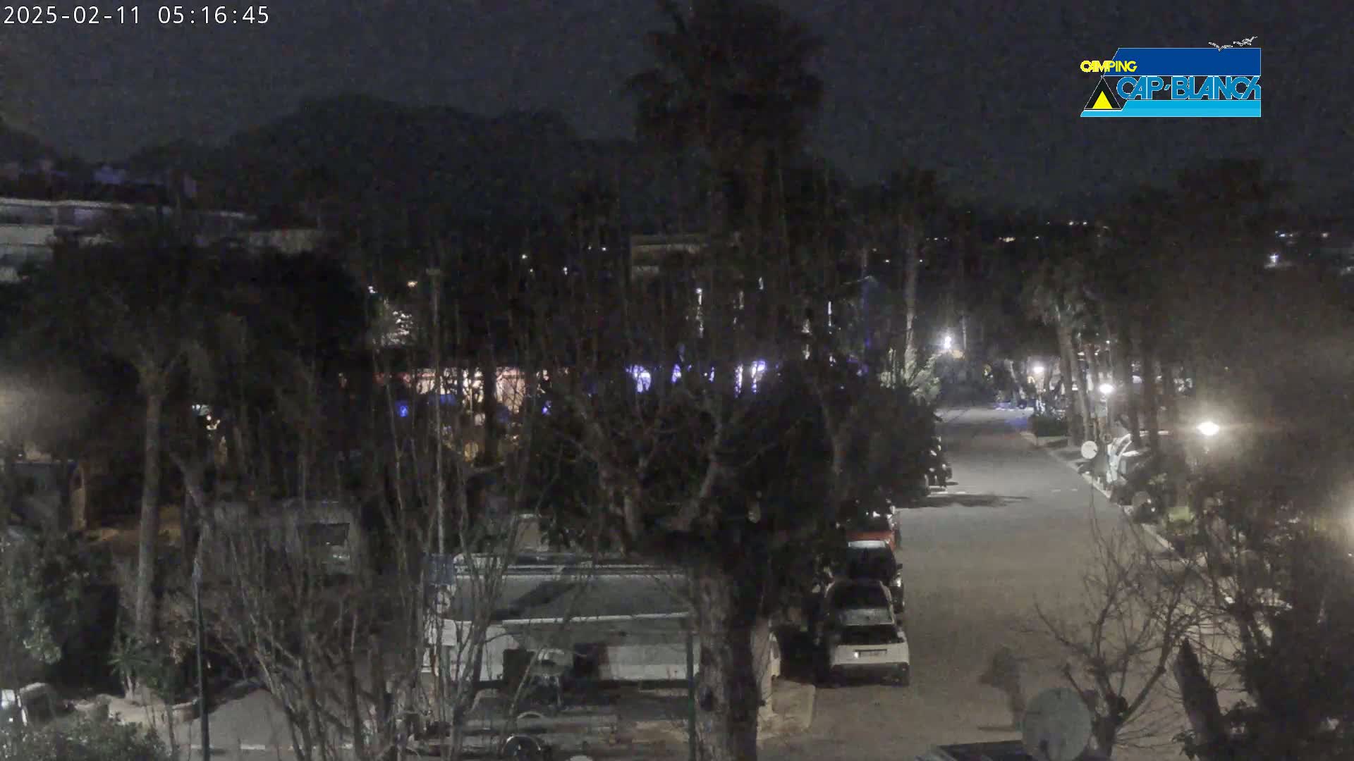 A nighttime, dimly lit street lined with parked vehicles and trees, under a dark sky.
