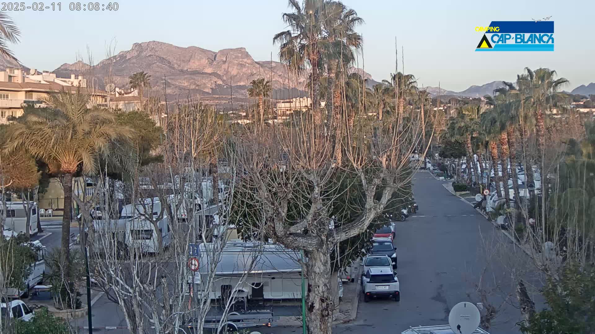 A paved road winds through a campground filled with RVs and cars, under a clear twilight sky, with mountains in the background and palm trees lining the road.