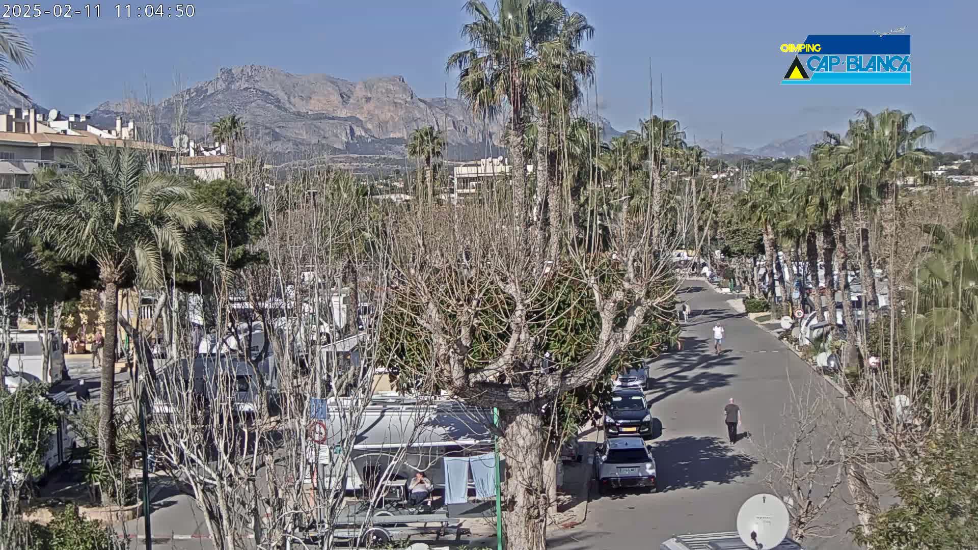 A sunny day reveals a paved road lined with parked recreational vehicles and palm trees, leading towards mountains in the background.