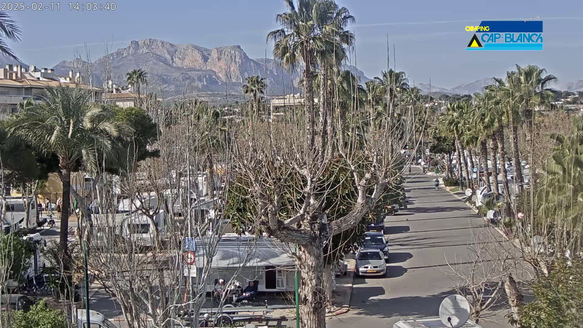 A sunny day reveals a street lined with palm trees and recreational vehicles, with mountains visible in the background.