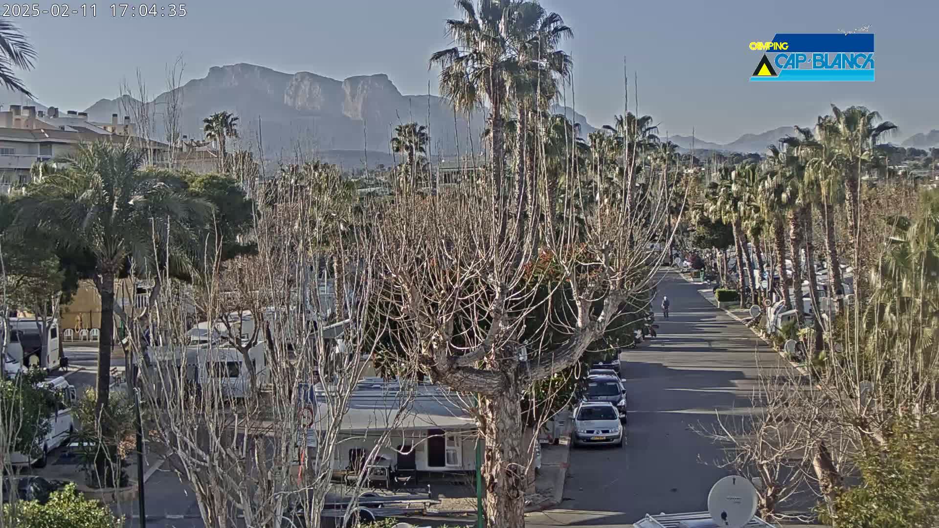A paved road lined with palm trees and leafless trees leads toward a mountain range under a clear, sunny sky, with recreational vehicles parked along the sides of the road.
