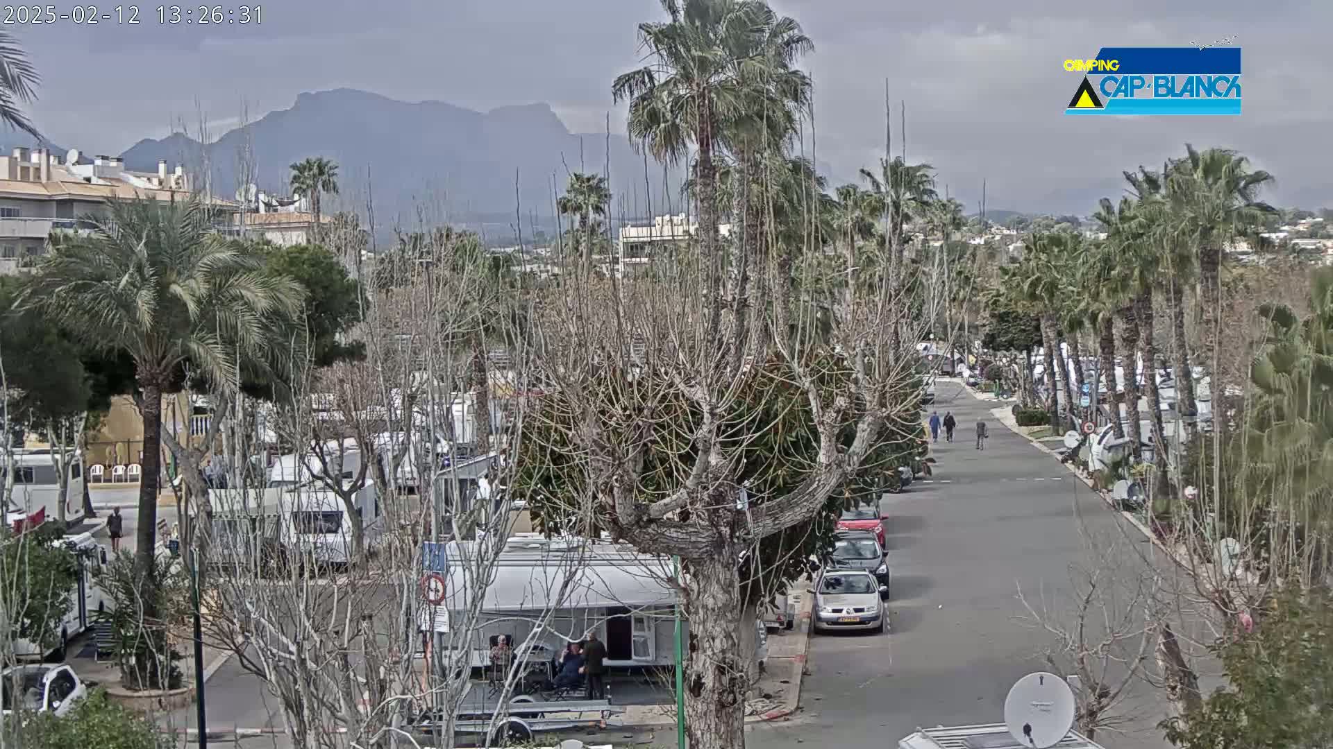 A paved road lined with palm trees and recreational vehicles winds through a parking lot towards a mountain range under a cloudy sky.