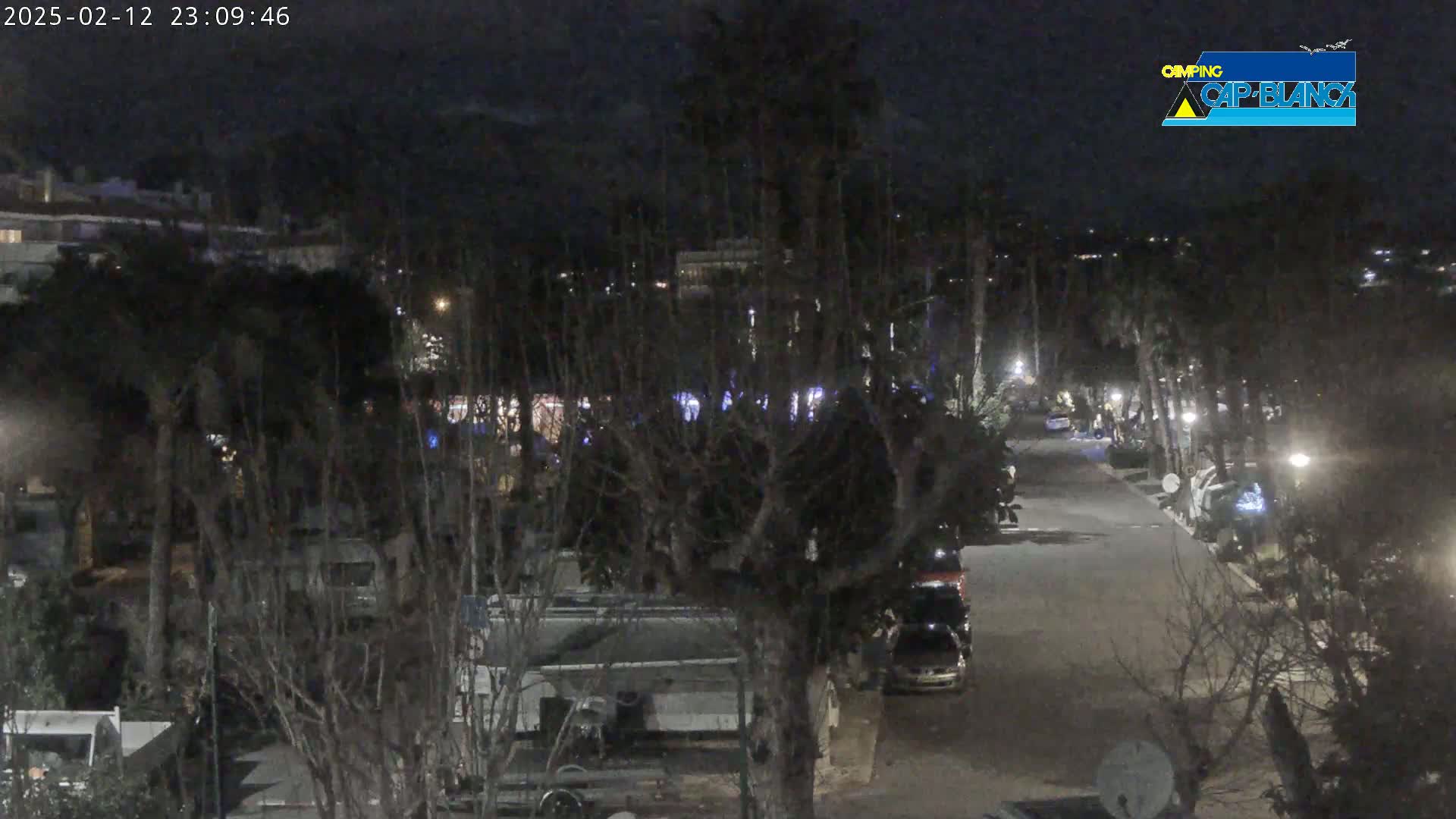 A nighttime view of a road lined with trees and recreational vehicles, under a dark sky.