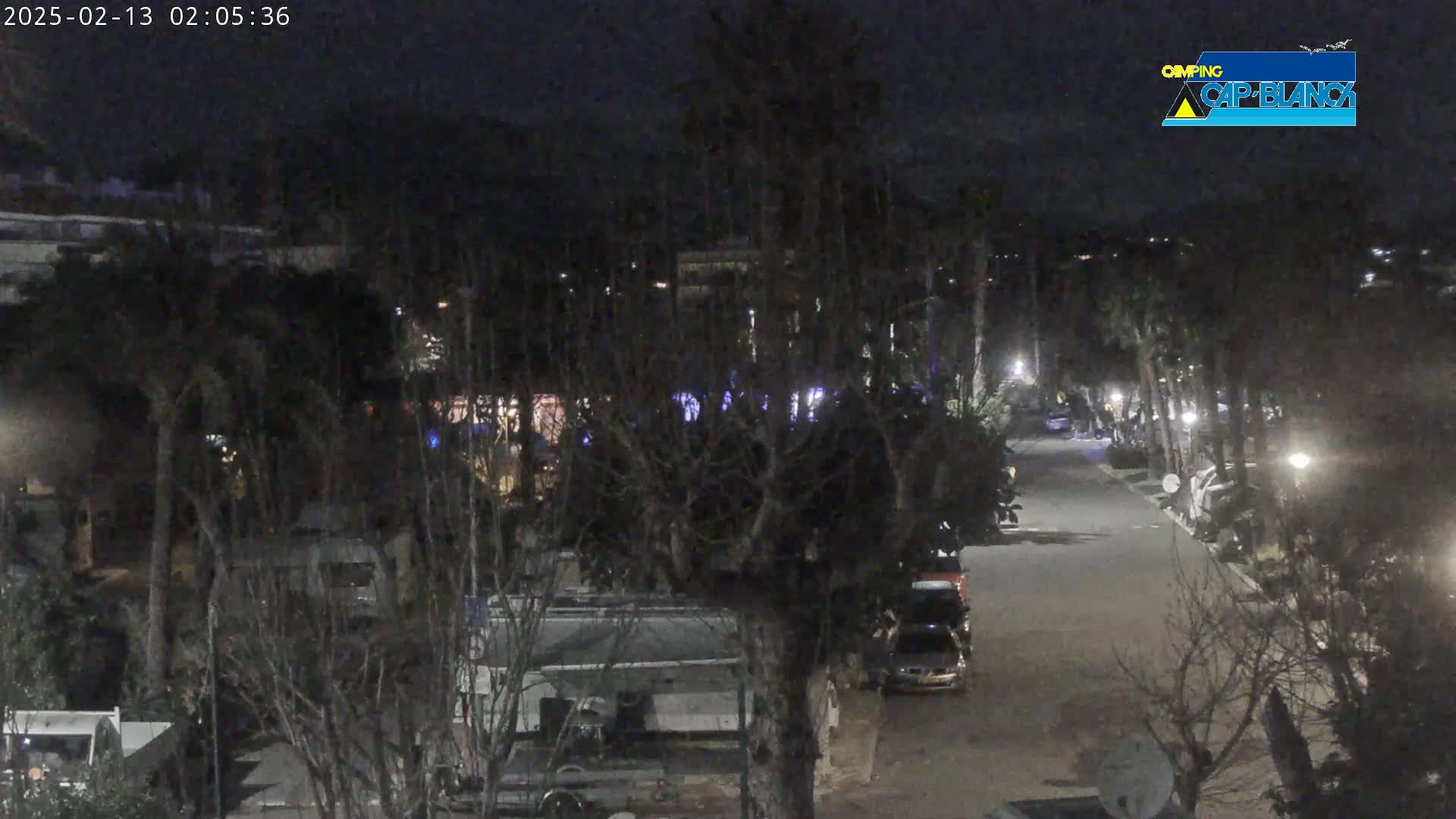 A nighttime view of a roadway lined with parked vehicles and trees, under a dark sky.