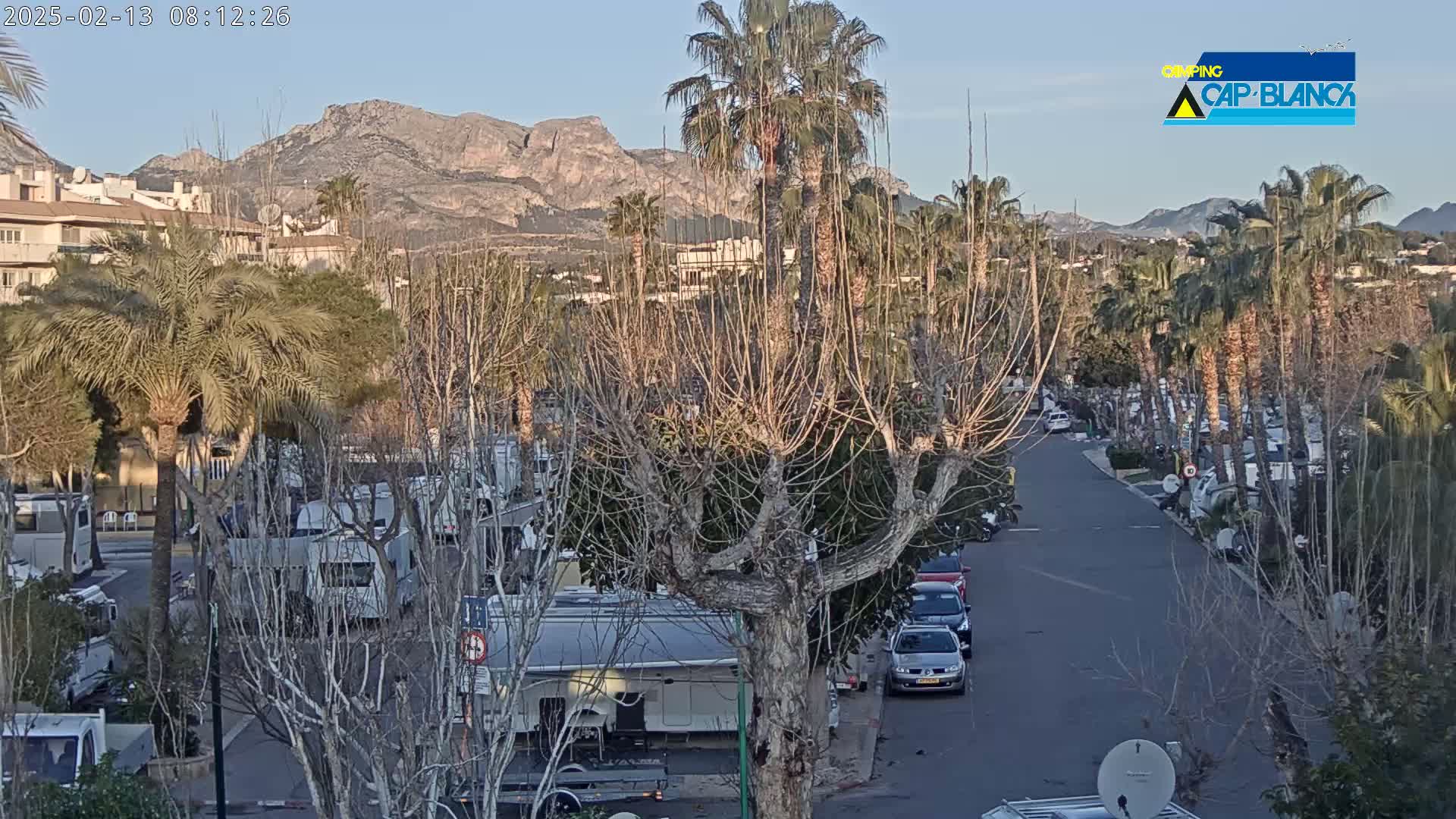 A clear, sunny day reveals a street lined with palm trees and RVs, with bare trees and mountains in the background.