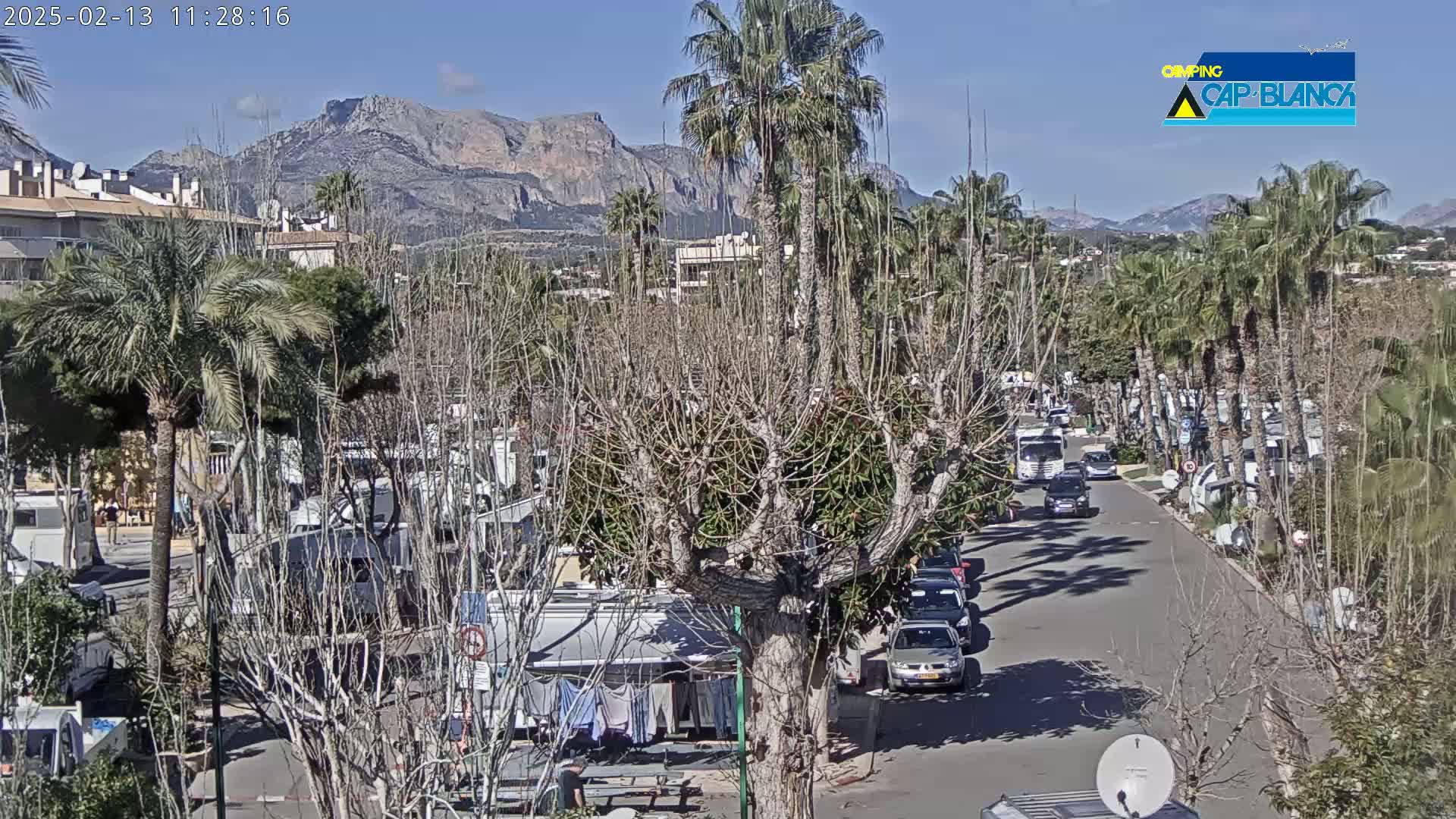 A sunny day reveals a street scene with numerous RVs parked alongside, palm trees, and bare deciduous trees, all set against a backdrop of mountains.