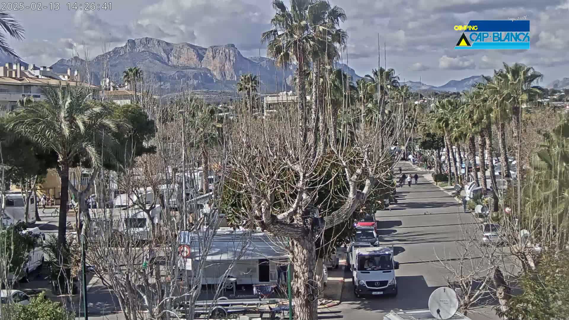 A sunny day reveals a street lined with palm trees and parked recreational vehicles, with mountains visible in the background.